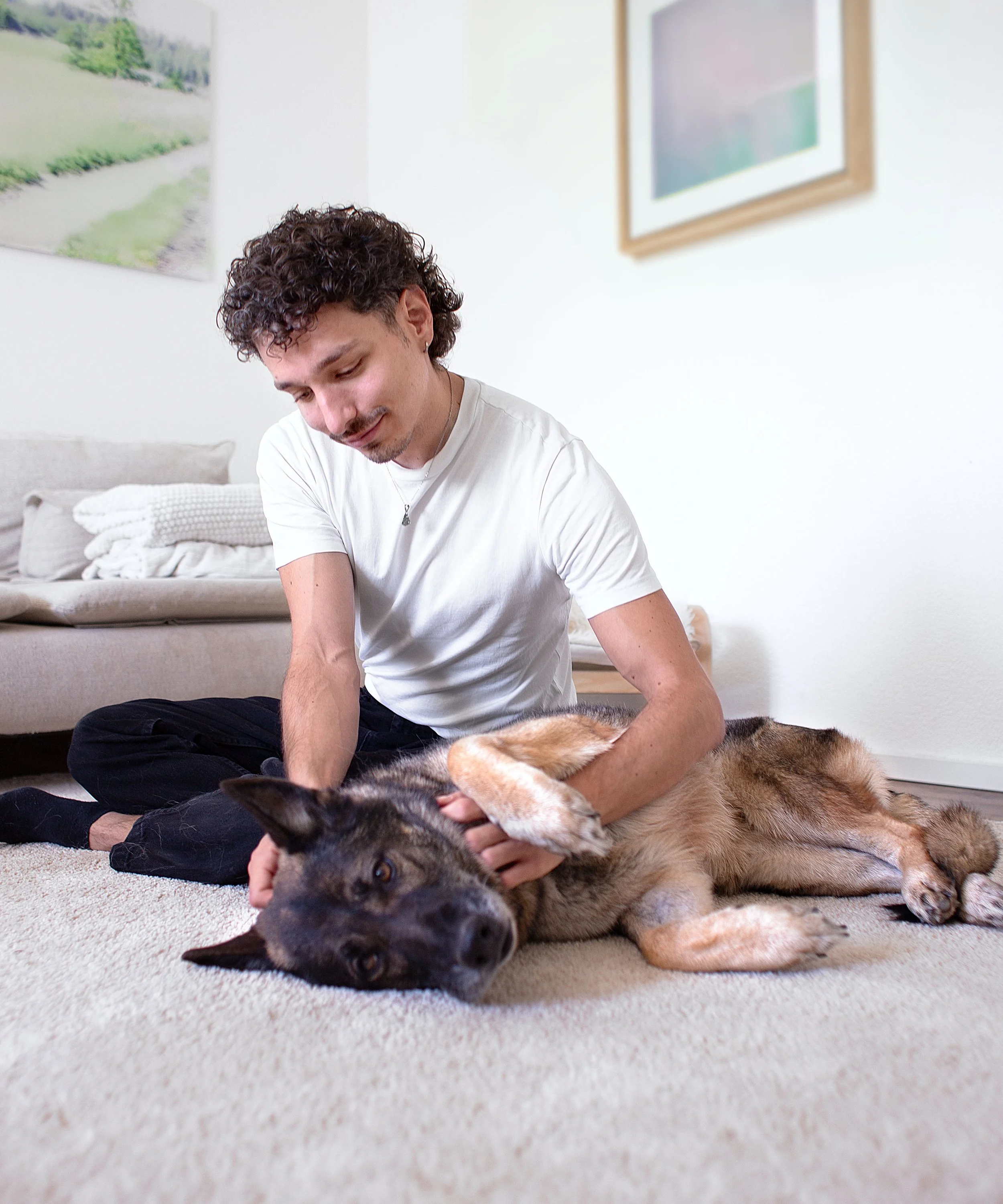Tierheilpraktiker mit Hund, Anamnese und Untersuchung Hund, Behandlung mit natürlicher Medizin
