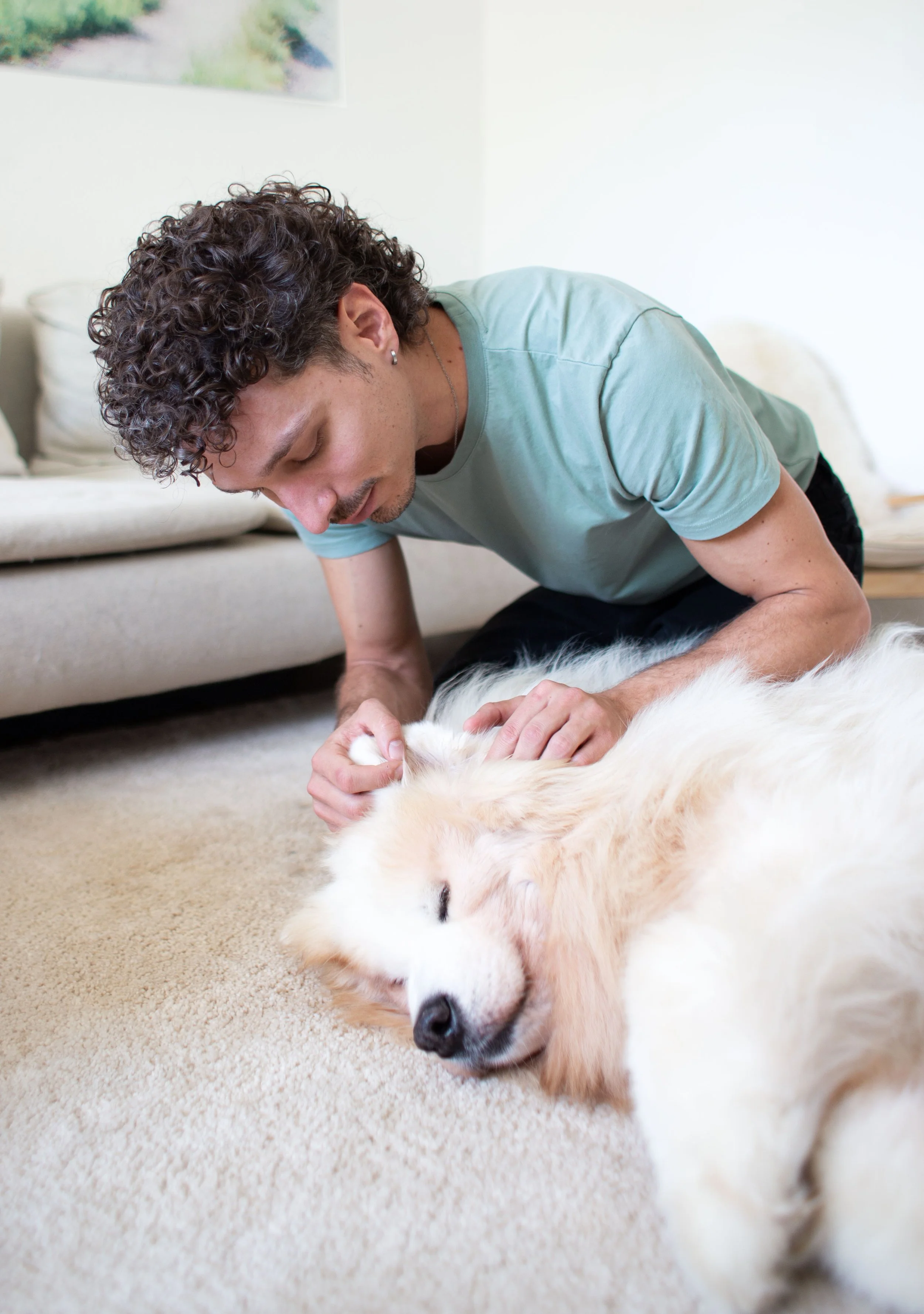 Anamnese Hund durch Tierheilpraktiker, Behandlung mit Naturmedizin