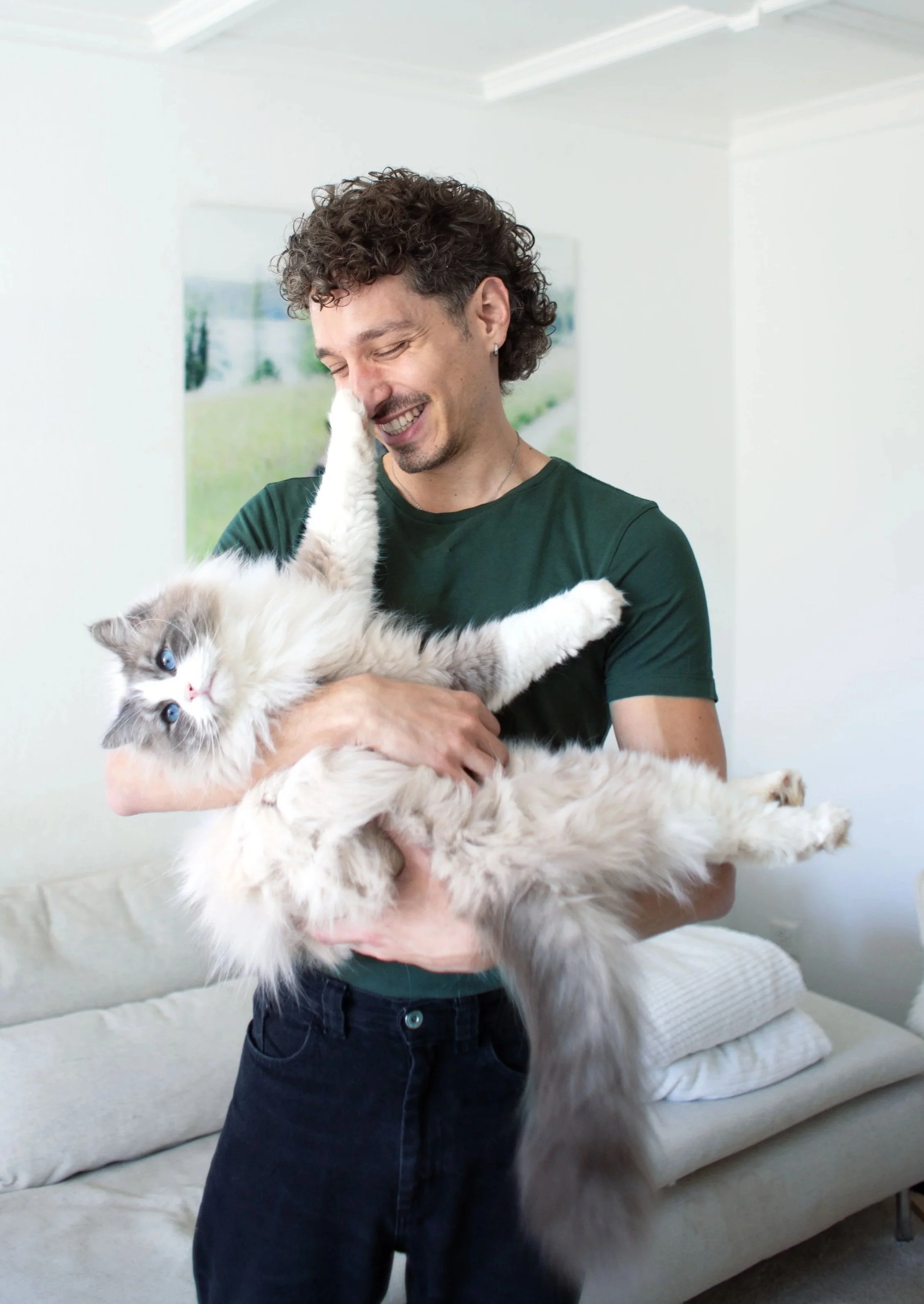 Tierheilpraktiker mit Hauskatze, natürliche Behandlung mit  Mykotherapie, Phytotherapie und Verhaltenstherapie