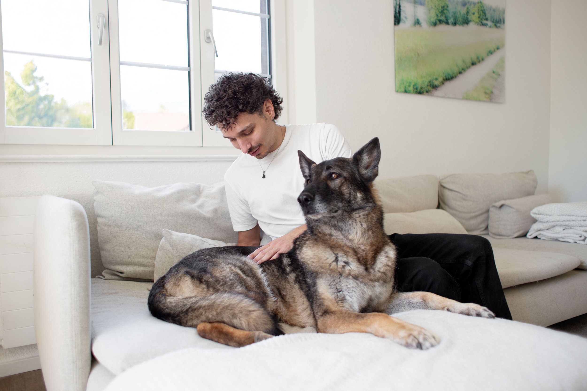 Tierheilpraktiker mit Schäferhund, natürliche Behandlung mit Massage und manueller Therapie, Behandlung von Schmerzen