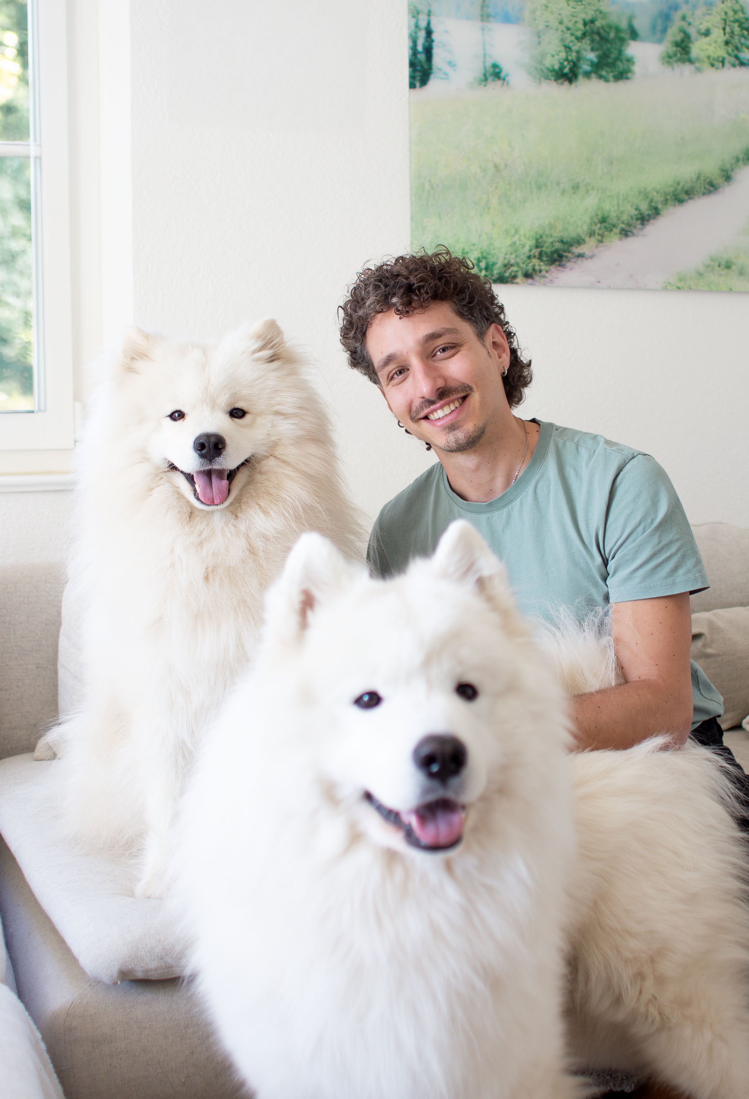 Tierheilpraktiker mit Samoyede Hunde, Behandlung von Allergie und Juckreiz mit Spagyrik und Stressreduktion mit Haltungsoptimierung