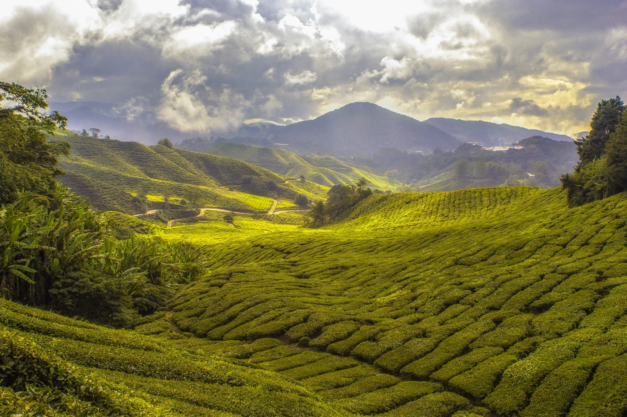 When to Visit Malaysia: A Travel Agent's Seasonal &amp; Client-Match Guide