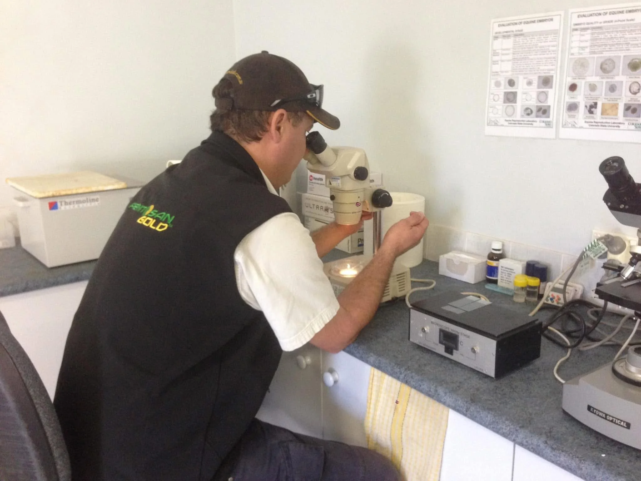 A person wearing a cap and a jacket looking into a microscope in a laboratory setting.