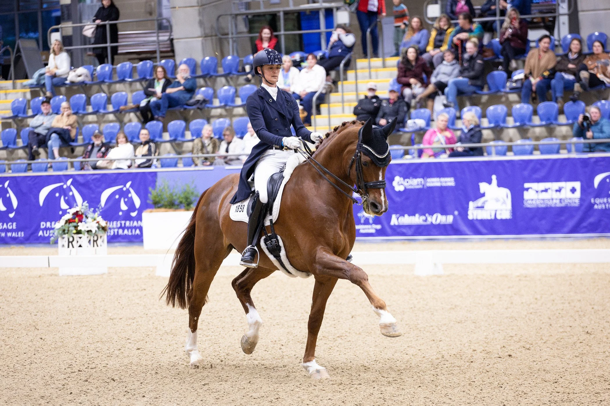 A female equestrian wearing a navy riding jacket, white riding breeches, gloves, and a helmet riding a brown horse in an indoor arena. Spectators are seated in the background.