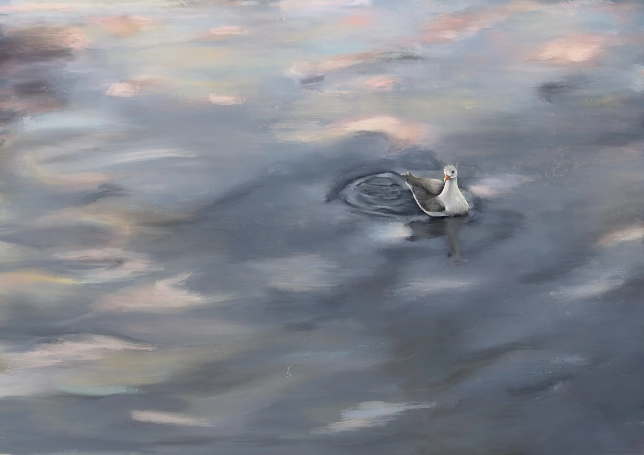 Seagull 2.jpg
