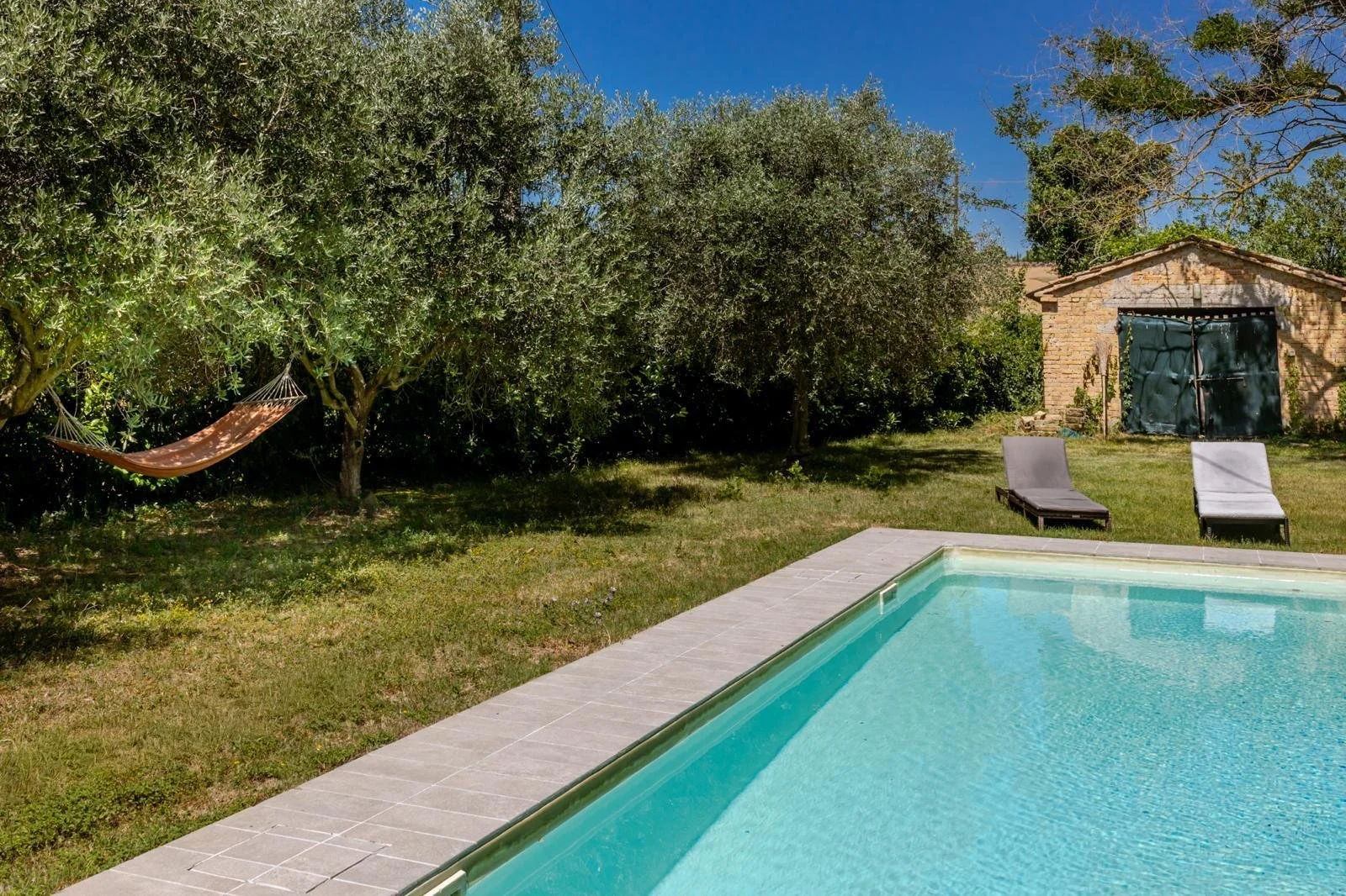 A backyard with a swimming pool, two lounge chairs, a hammock between trees, and a small brick shed with closed green doors, surrounded by grass and trees under a clear blue sky.