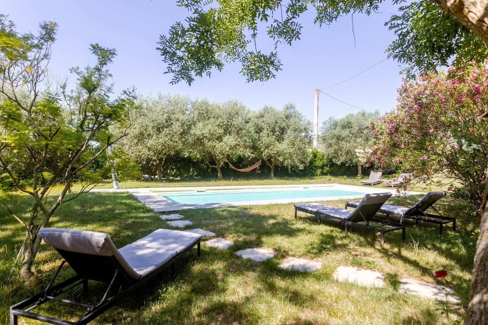 A backyard with a swimming pool, surrounded by green grass, trees, and lounge chairs under bright sunlight and a clear blue sky.