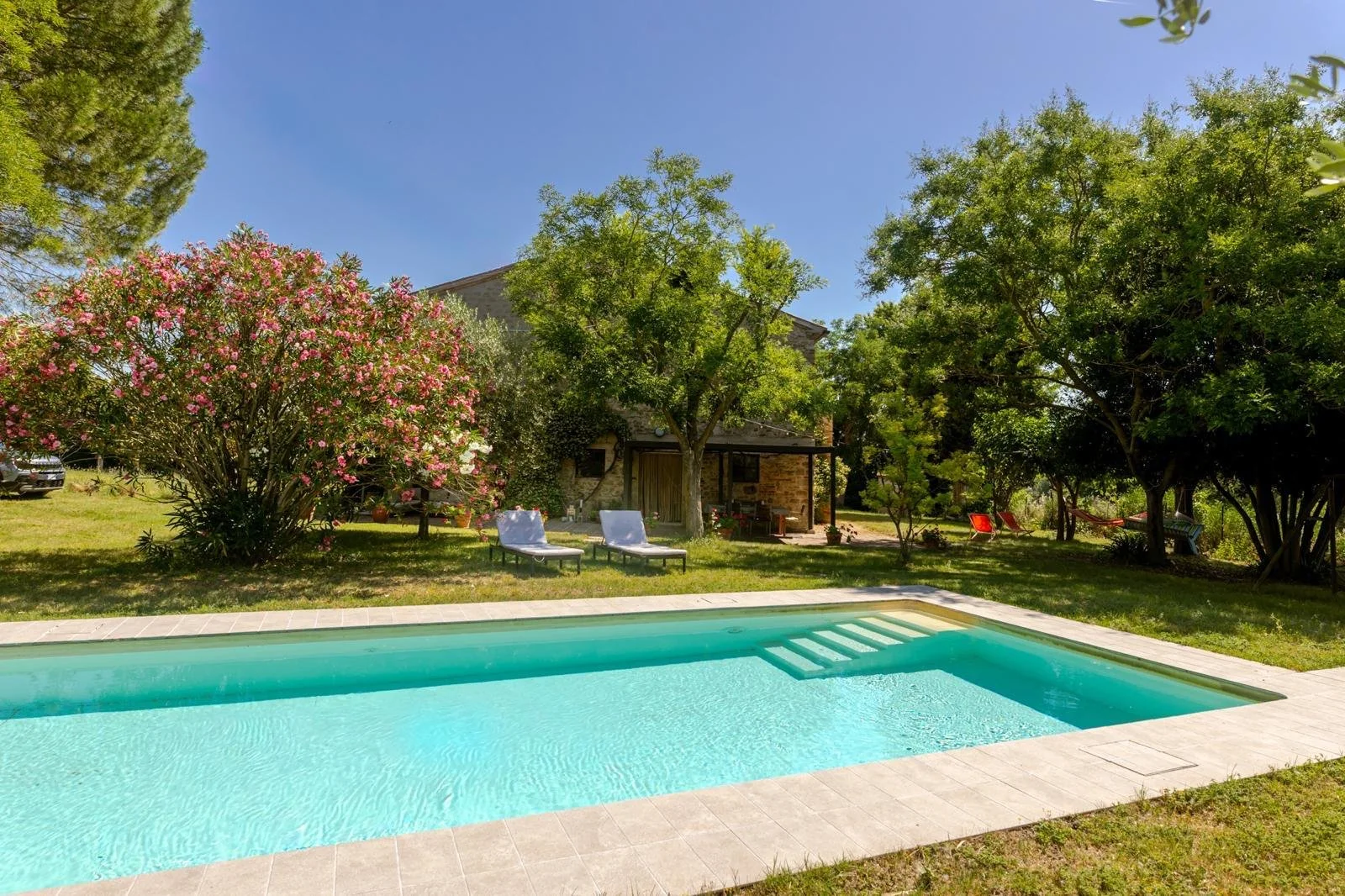 A backyard with a swimming pool in the foreground, surrounded by a stone patio and green grass. There are trees, including a flowering pink shrub, providing shade. Two white lounge chairs are placed near the pool, and a house with a patio and outdoor furniture is visible in the background under a clear blue sky.