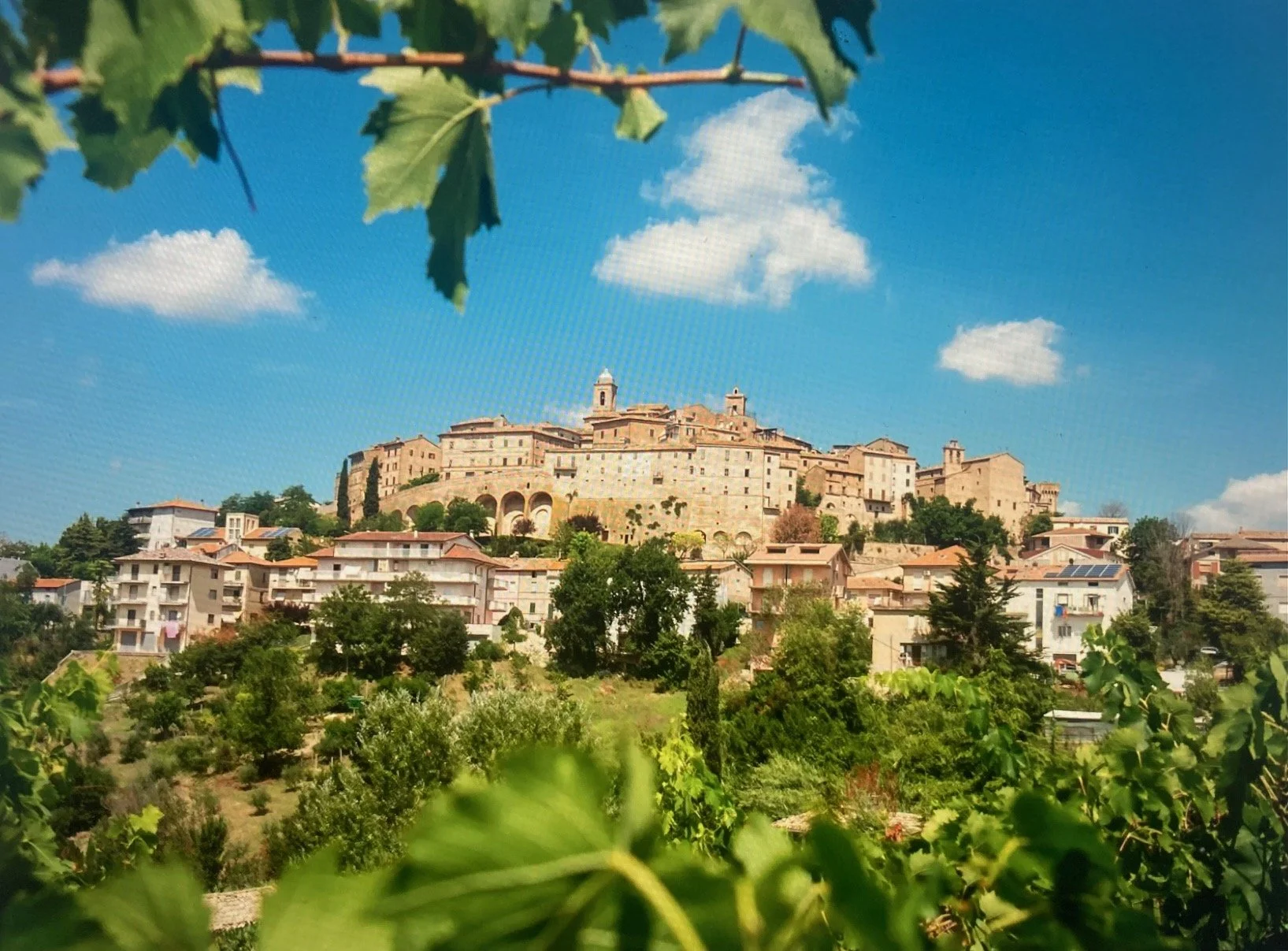 A hillside town with a historic stone castle at the top, surrounded by residential buildings and lush greenery, under a blue sky with scattered clouds.