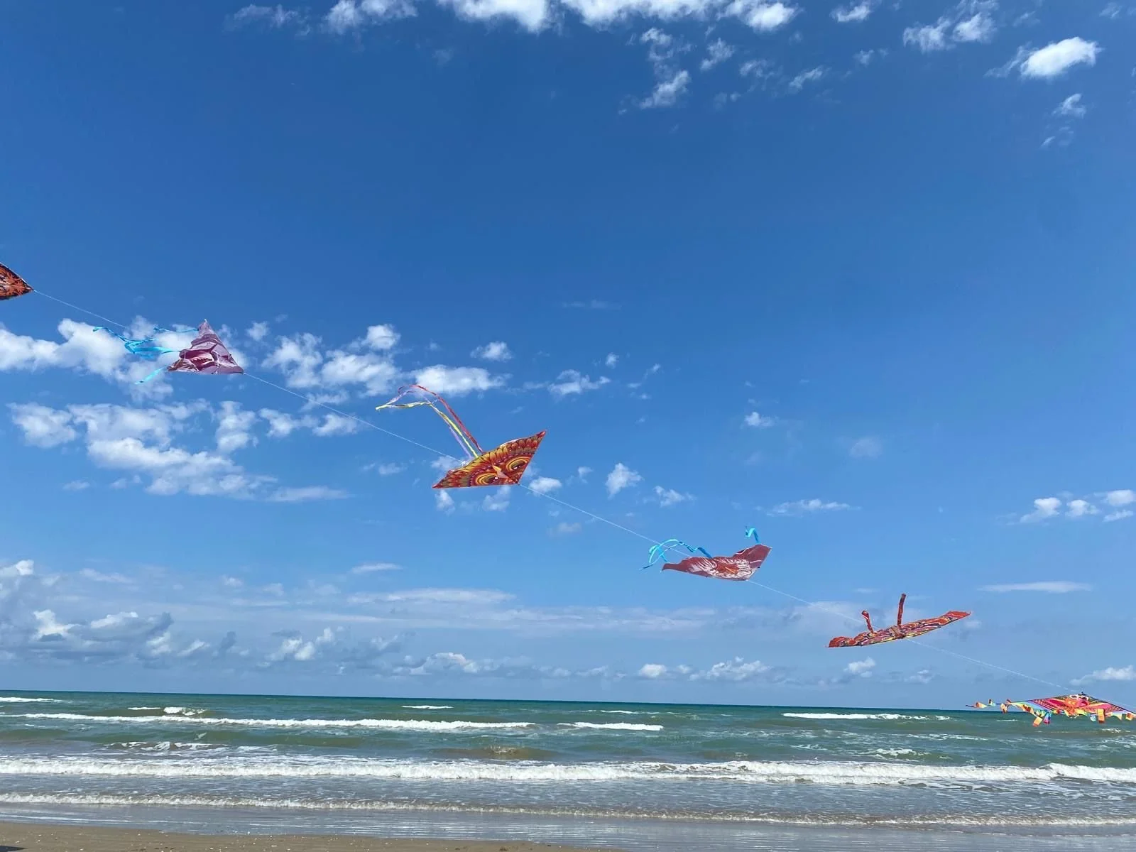 Colorful kites flying in a blue sky over a sandy beach with ocean waves.