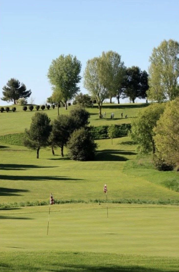 A golf course with green grass, flagsticks, and scattered trees on a sunny day.