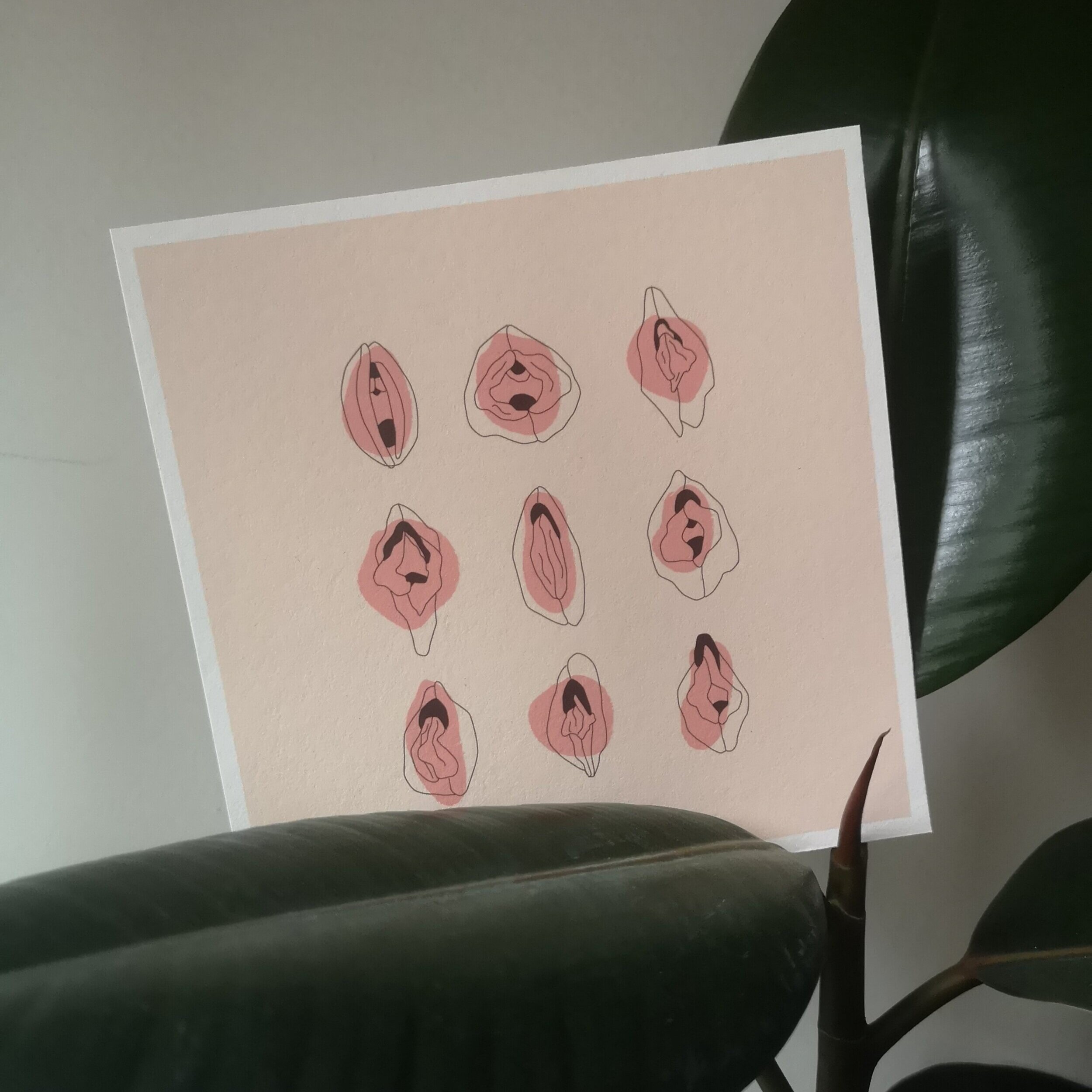 feminist illustrator