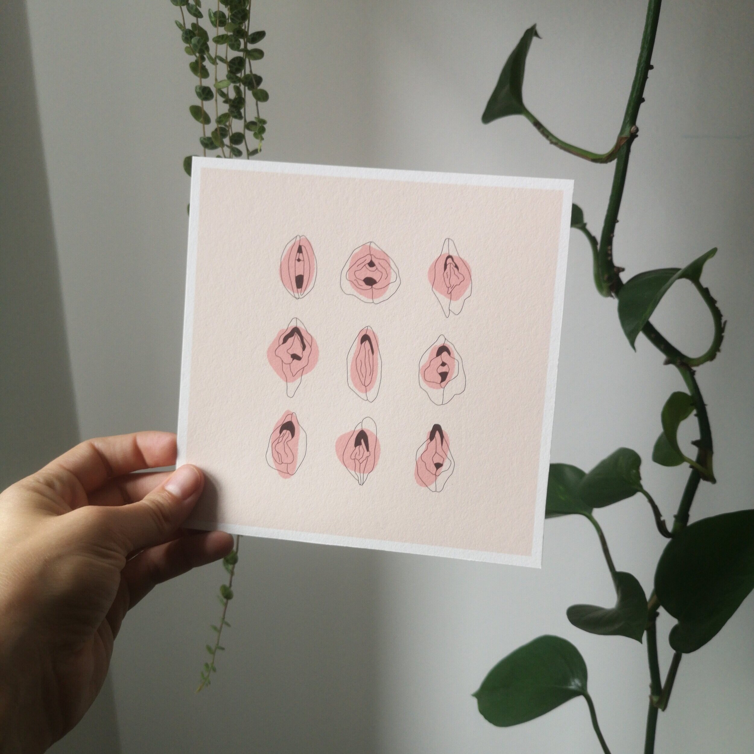 vulva diversity illustration