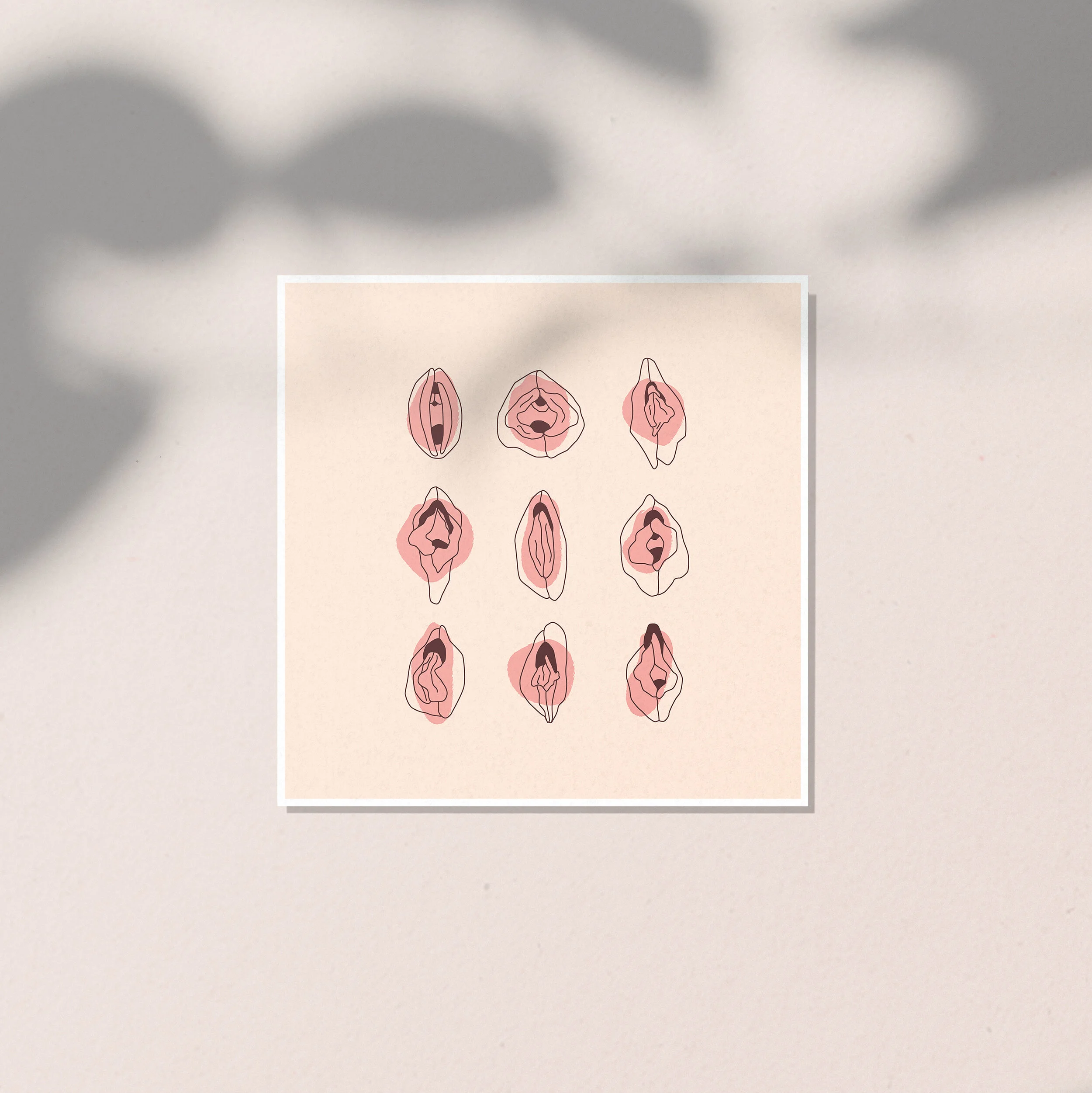 vulva diversity