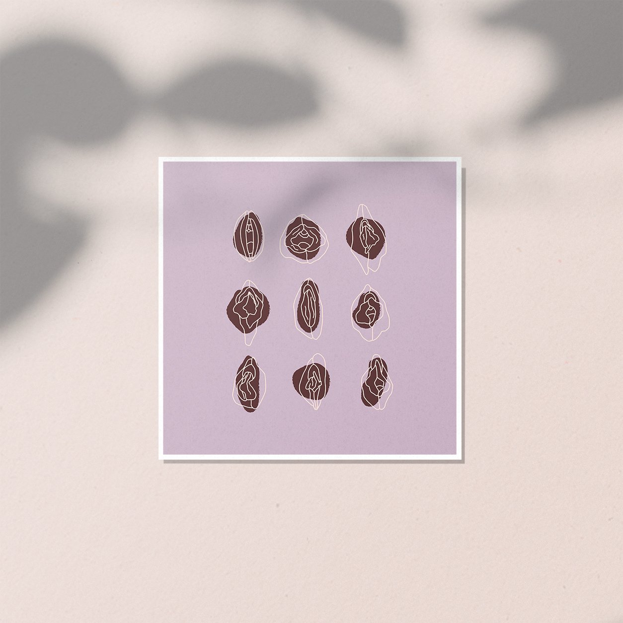 vulva diversity lila