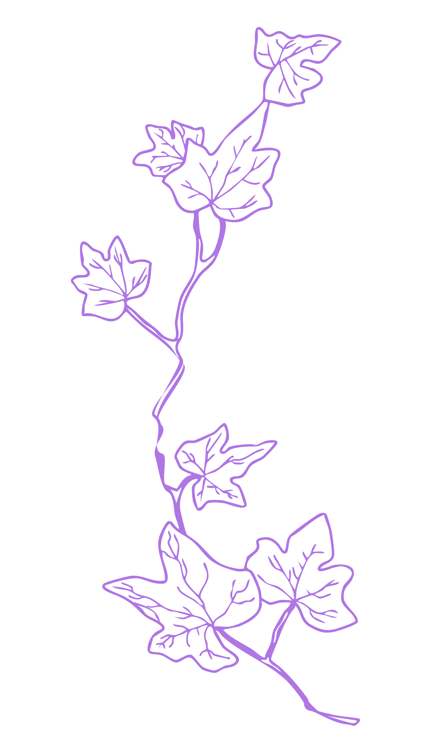 Neon-Lichterzeichnung von Efeu-Blättern in Lila vor schwarzem Hintergrund.