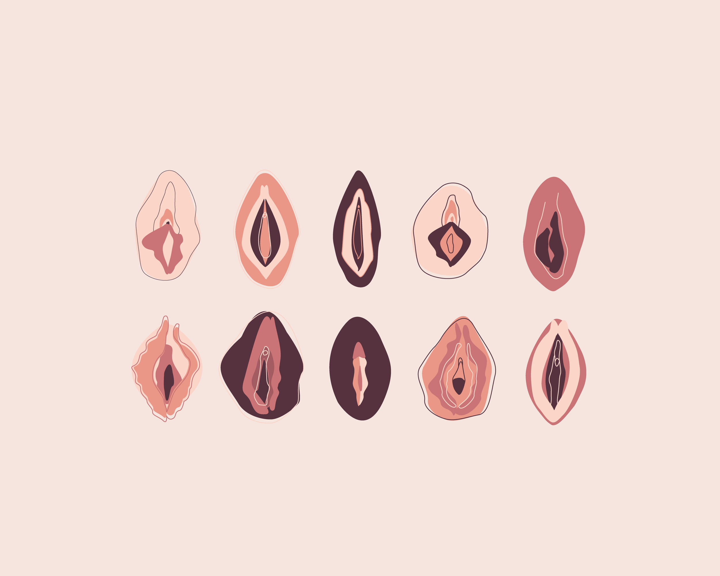 vulva illustration by Katharina Lorenz