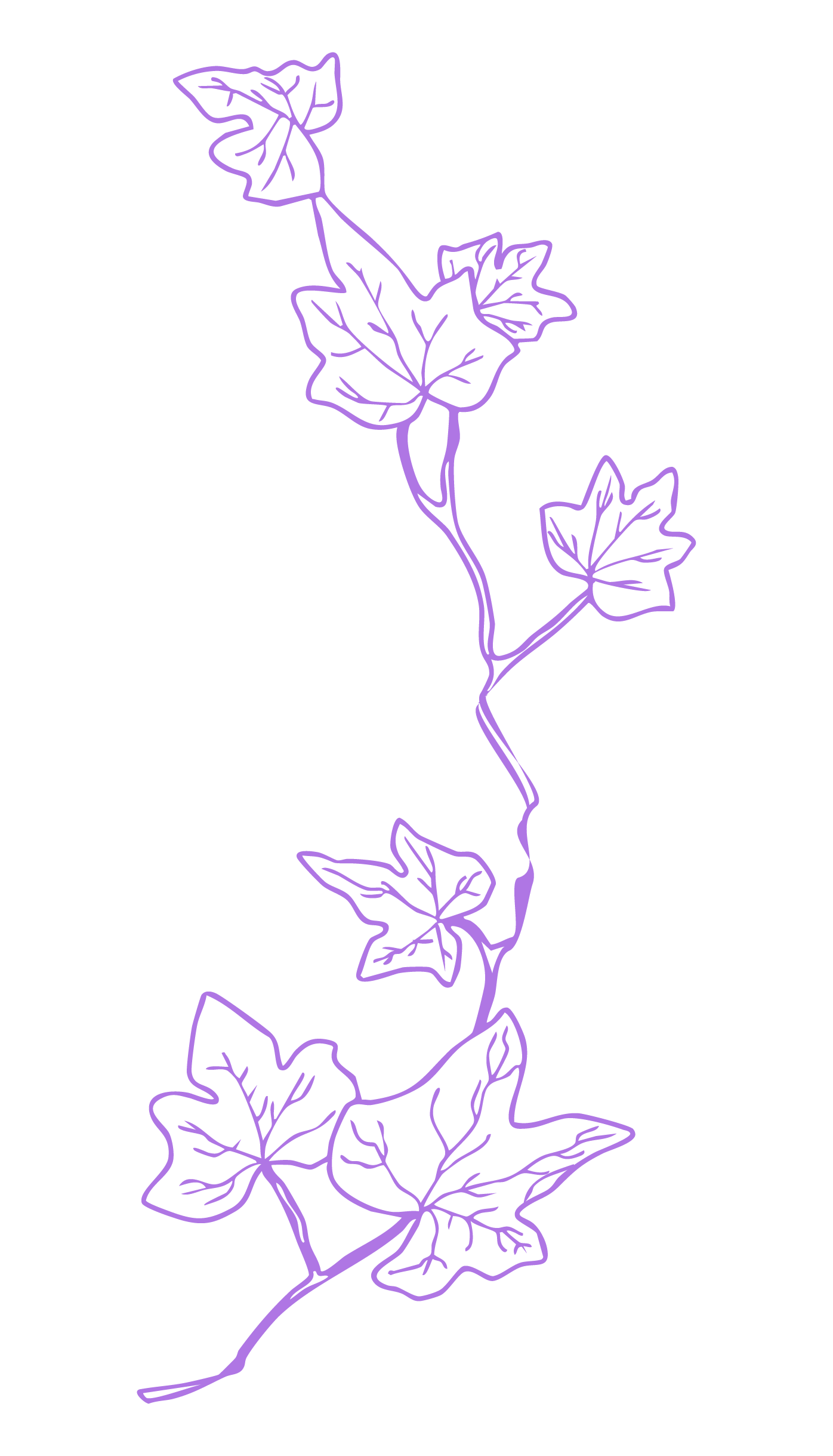 Eine stilisierte Illustration einer Liane mit Blättern, in lila Konturlinien auf schwarzem Hintergrund.