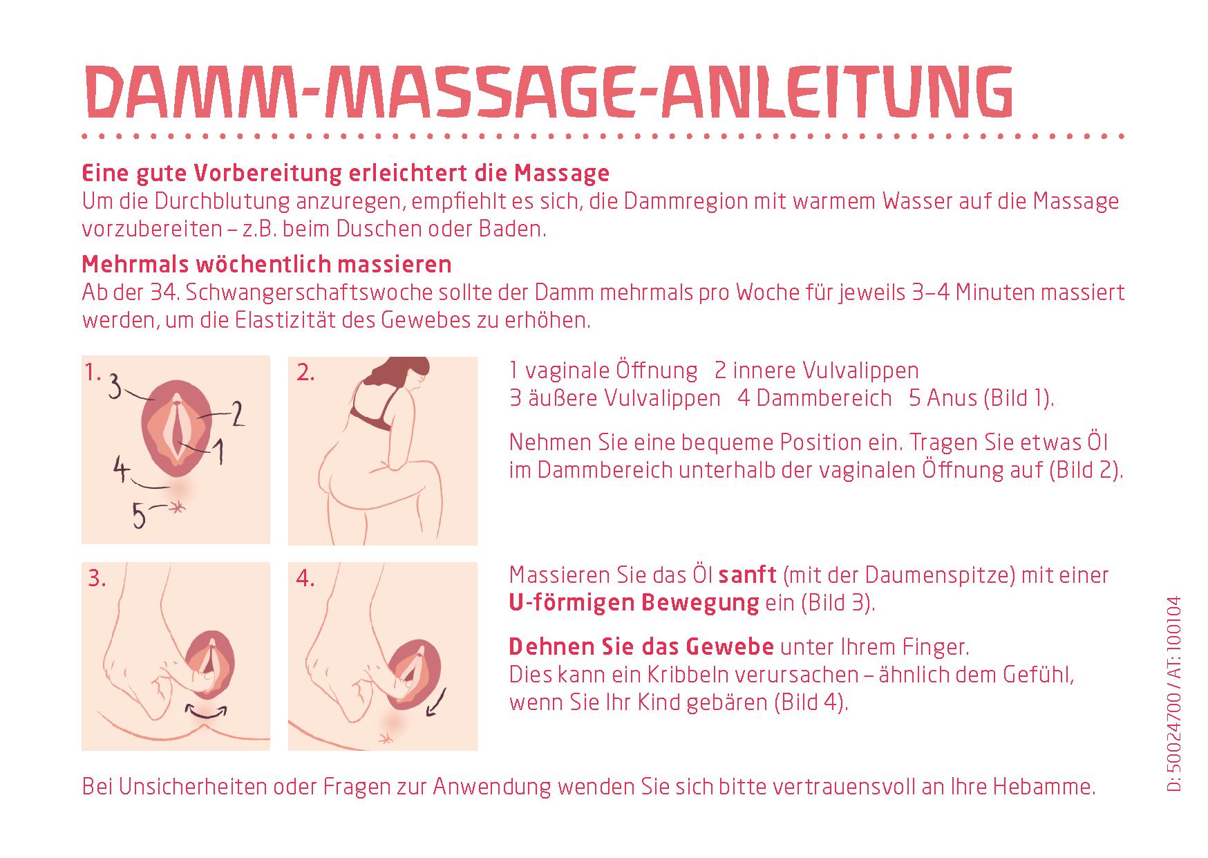 Anleitung für Dammmassage mit Text und Illustrationen, zeigt vaginale Öffnung, Vulvalippen, Dammbereich, Anus, und eine Person in gebückter Haltung, die Öl auf die Vaginalöffnung aufträgt, mit erklärendem Text in Deutsch.