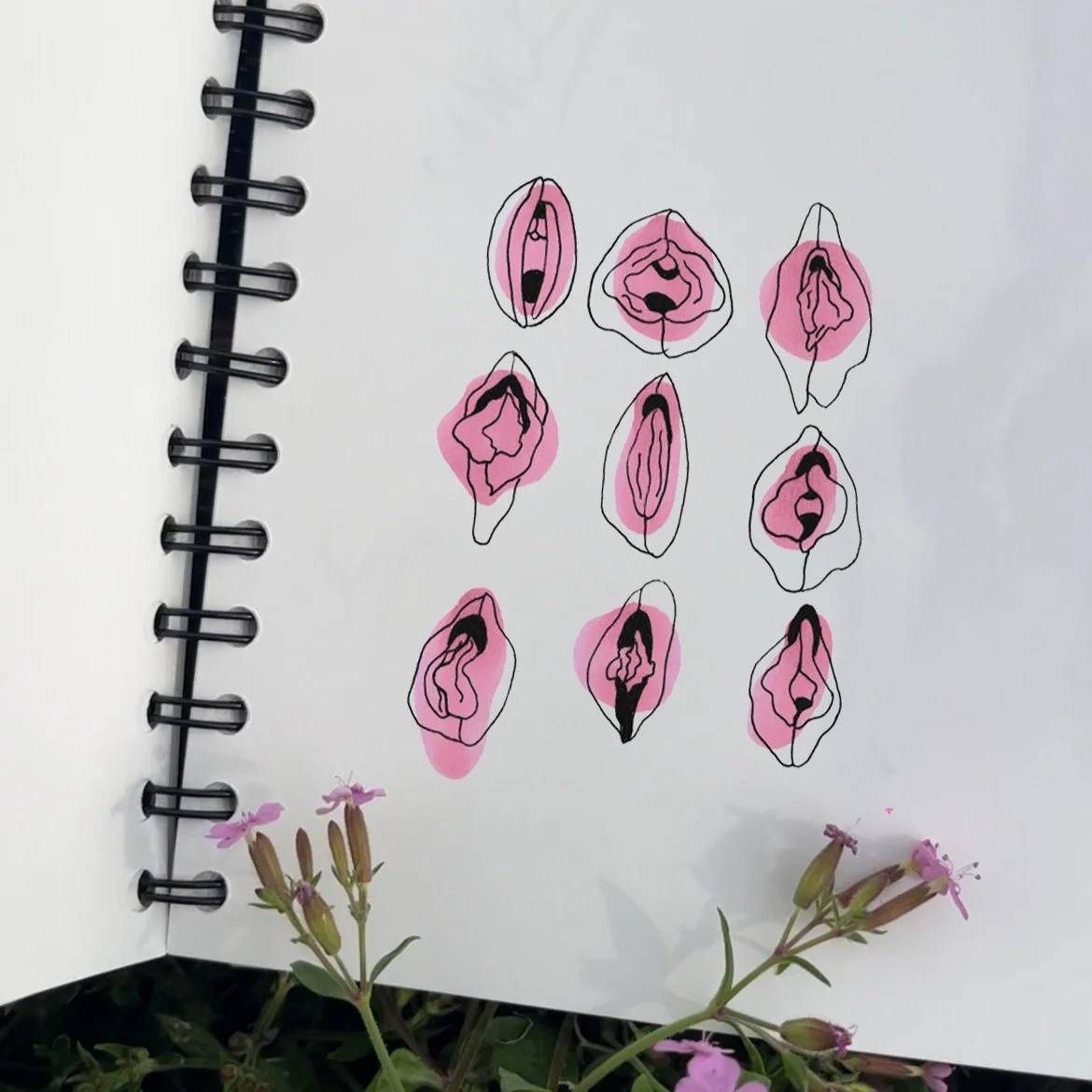 Zeichnung mit weiblichen Genitalien in Schwarz und Rosa auf weißem Hintergrund, daneben pinkfarbene Blumen.