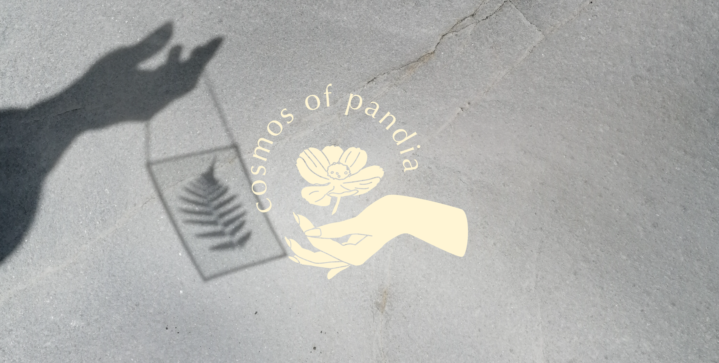 Logodesign von Cosmos of Pandia von Katharina Lorenz, Grafikdesignerin und Illustratorin aus Wien
