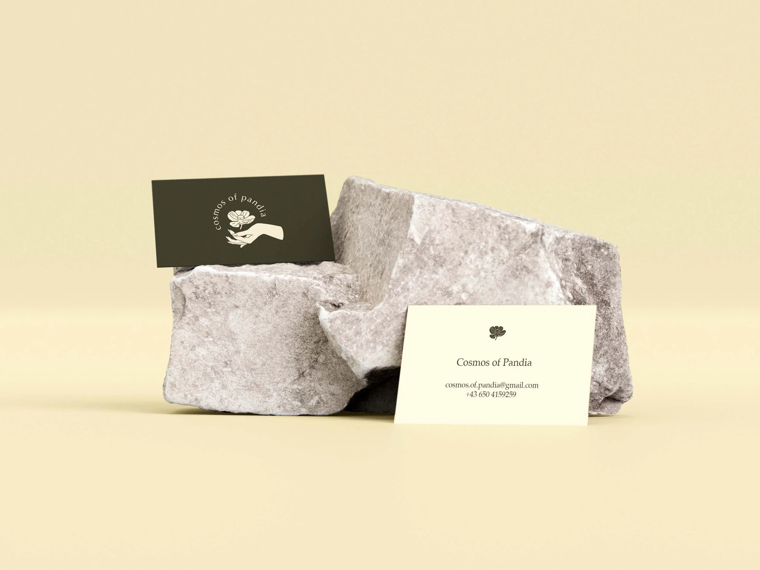 Visitenkarten Mockup von einem Unternehmen "Cosmos of Pandia", designt von Katharina Lorenz / honest design