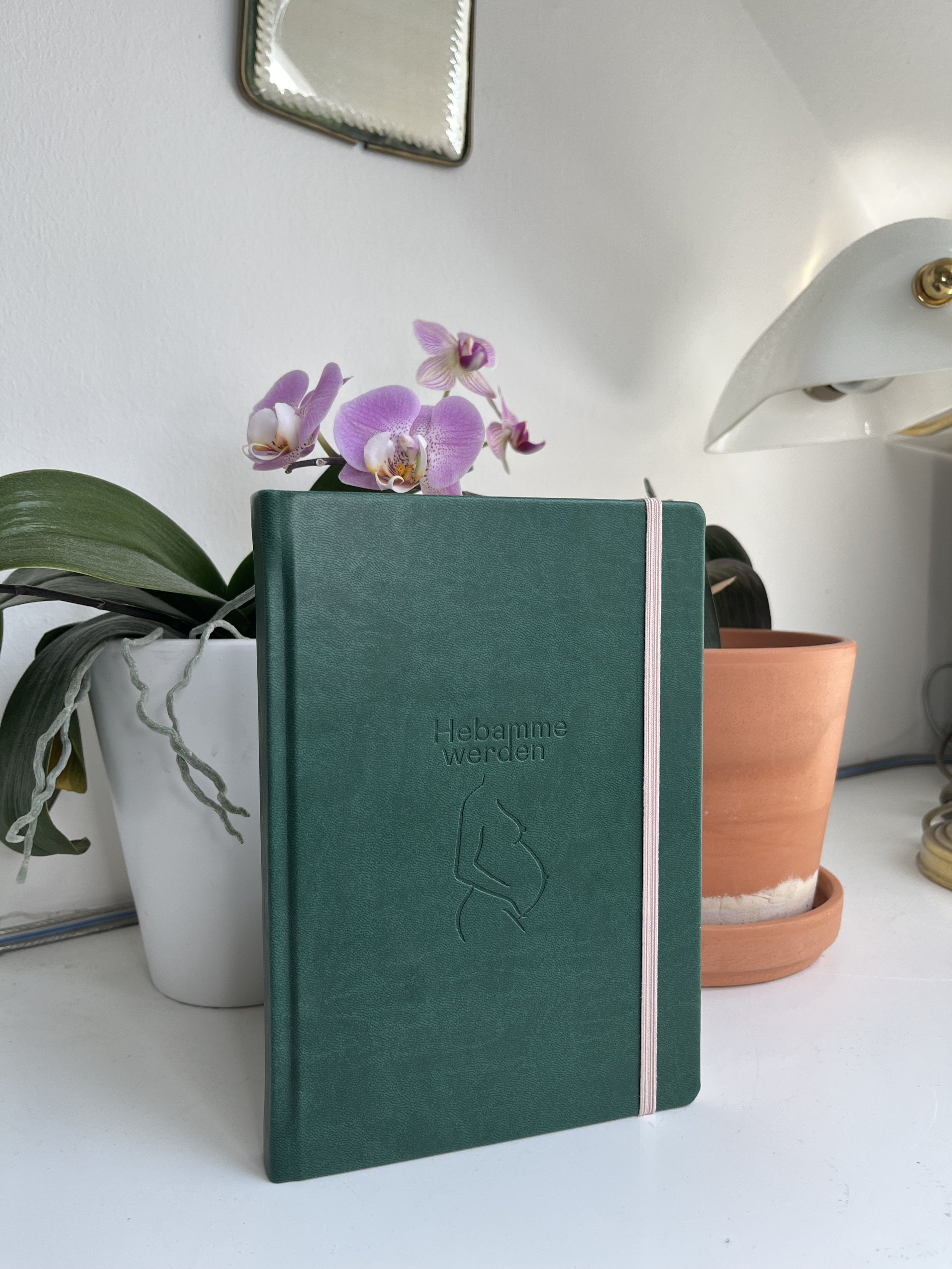 Grüner Notizbuch mit silbernem Gummiband, im Hintergrund eine weiße Topfpflanze mit Orchideen, und weitere Töpfe auf einer weißen Oberfläche, darunter eine größere Terrakotta-Topf.