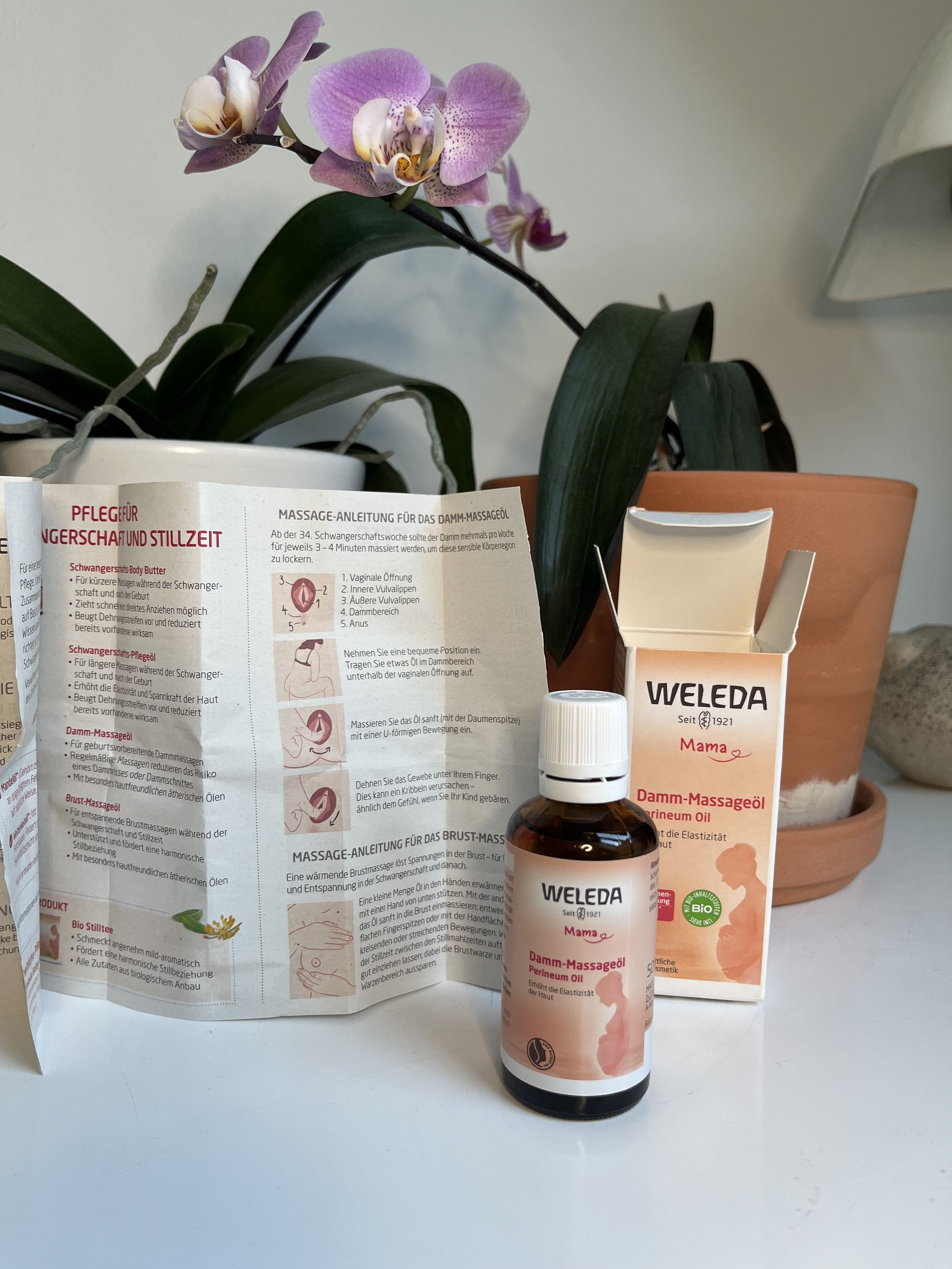 Eine Phalaenopsis Orchidee mit pinken Blumen in einem weißen Topf, neben einem braunen Blumentopf mit Pflegehinweisen für schwangerschafts- und stillzeitbezogene Hautpflegeprodukte und einer Flasche Damm-Massageöl von Weleda.