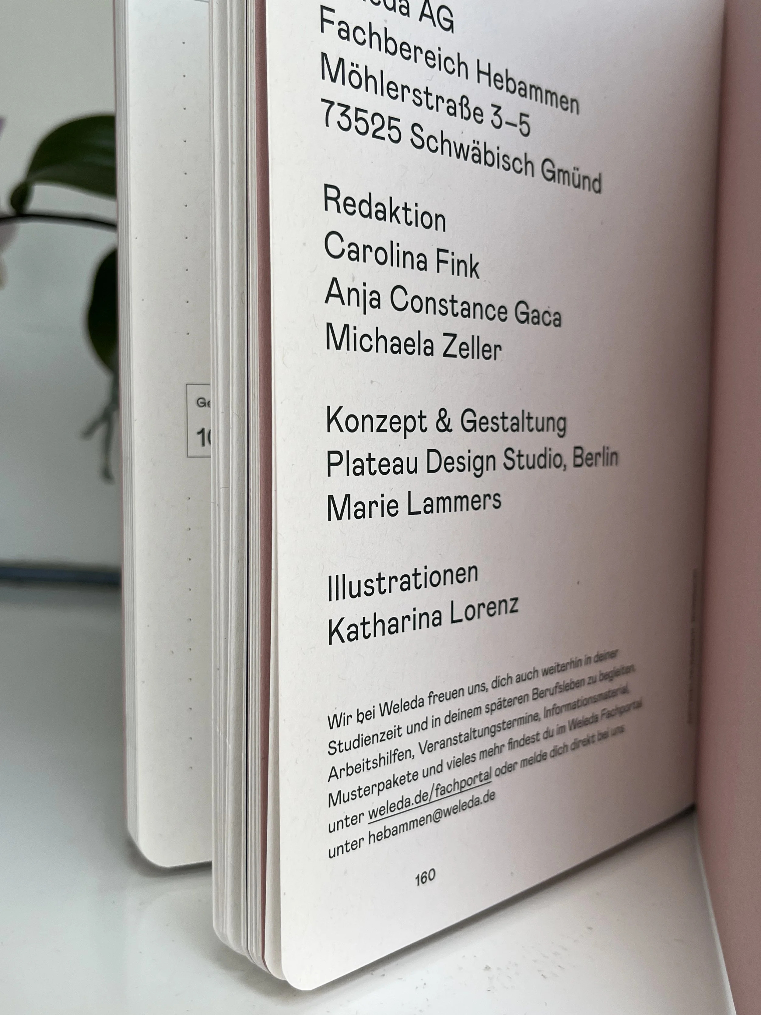 Bindemappen mit einer weißen Seite, die einen Text in deutscher Sprache enthält, auf einer weißen Tischfläche. Im Hintergrund ein grünes Plantblatt.