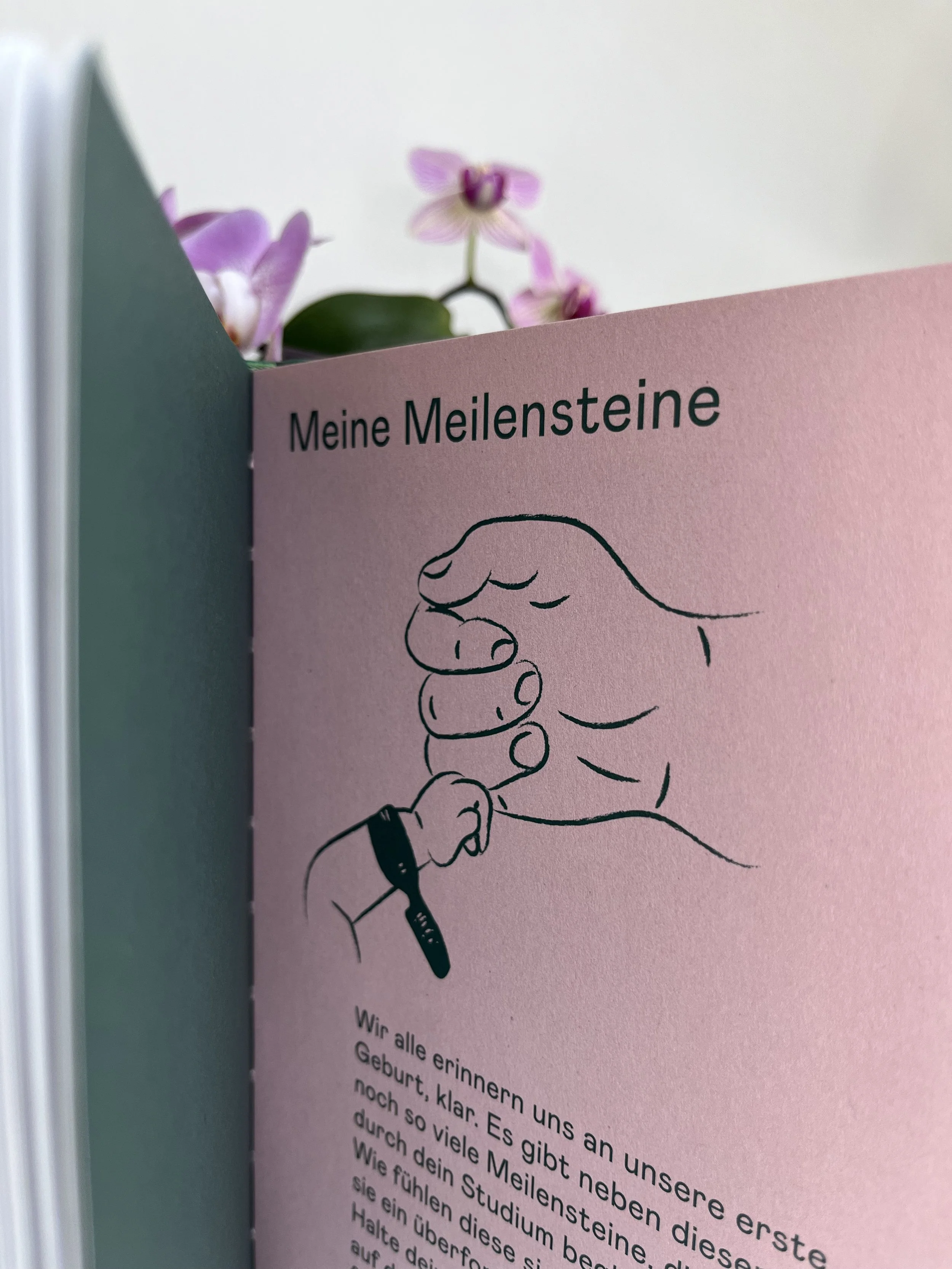 Broschüre mit der Überschrift 'Meine Meilensteine' und einer Illustration einer Hand, die einen Stift hält, im Hintergrund eine violette Orchidee.