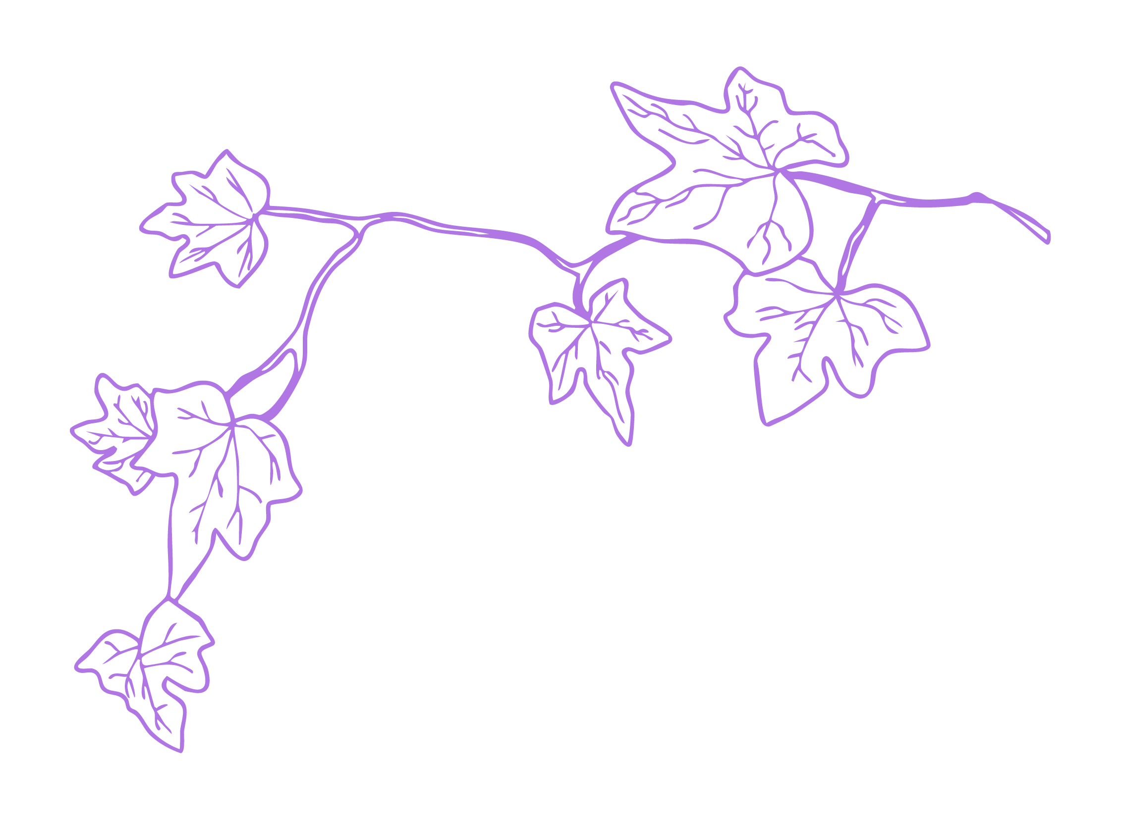 Neonartige Illustration von Efeublättern in Lila auf schwarzem Hintergrund.