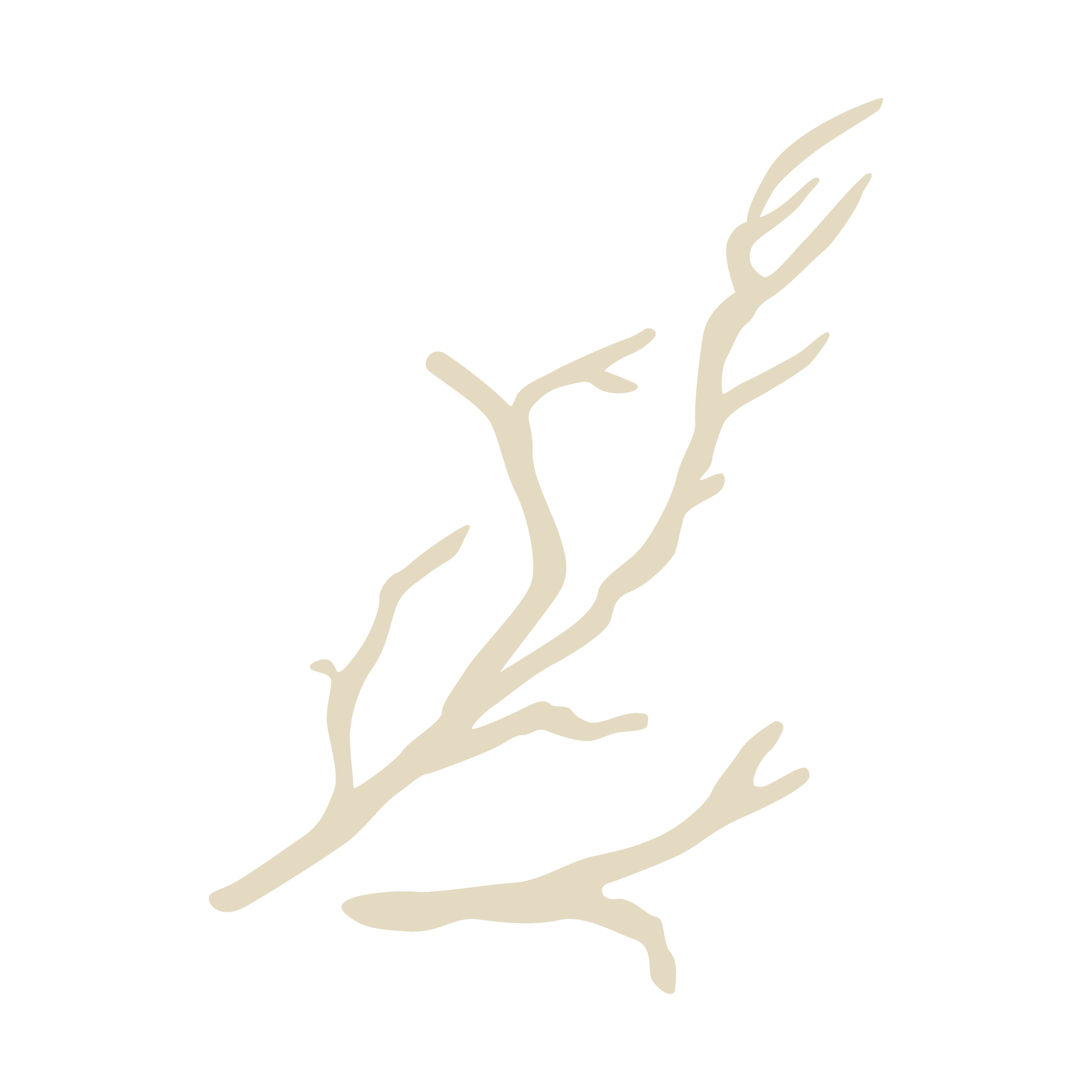 Skizze eines menschlichen Hand, die nach oben zeigt, in cremefarbenen Linien auf schwarzem Hintergrund.