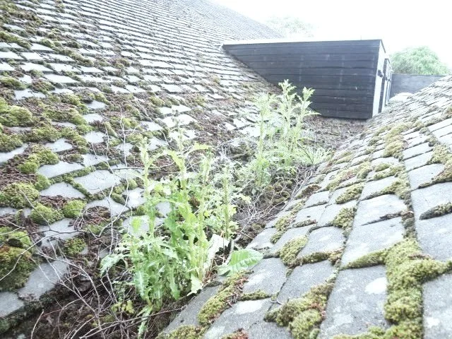 Roof_Maintenance_Survey_NHS_Virtual_CBS_Ltd