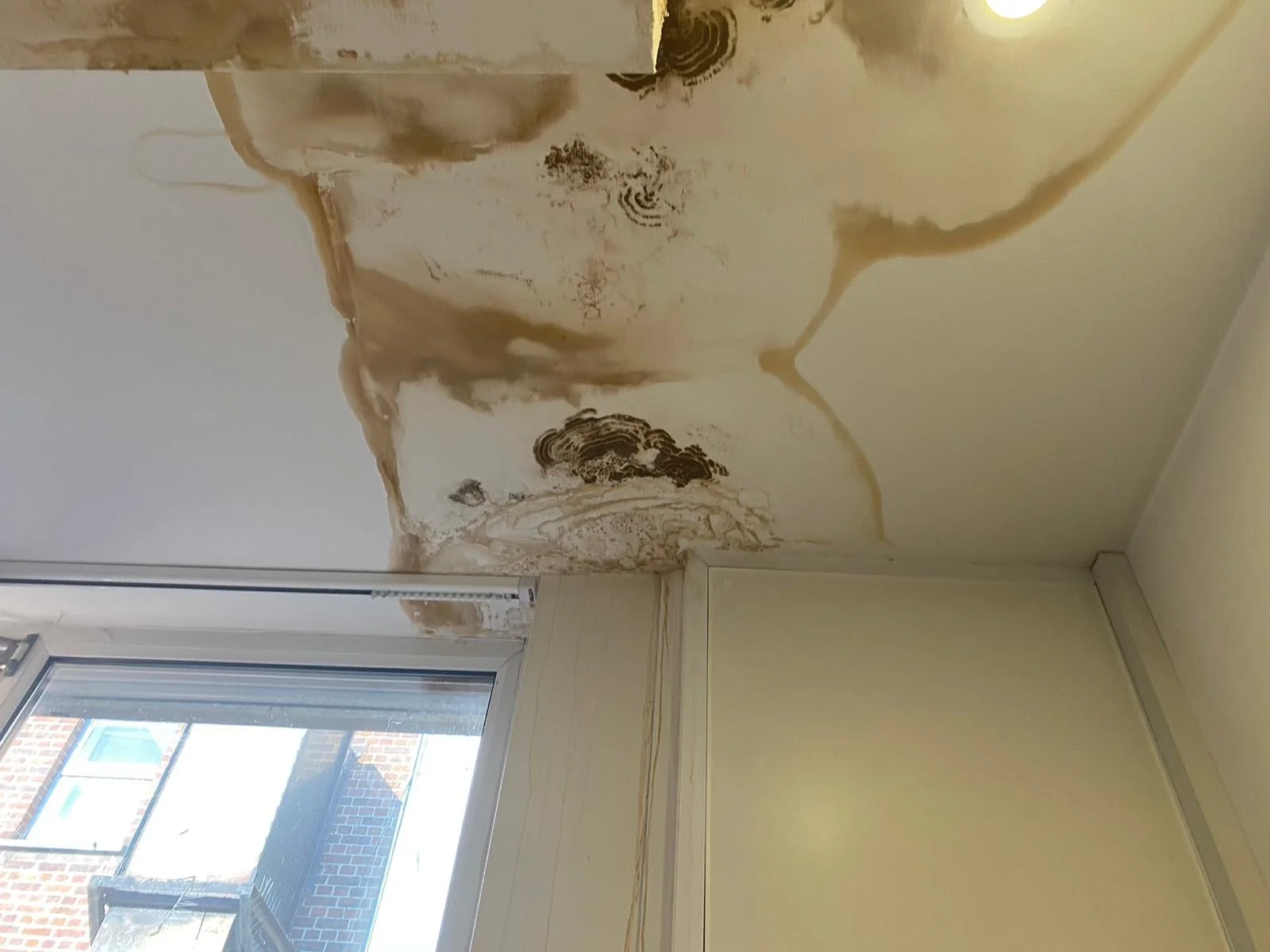 Damp Survey Milton Keynes