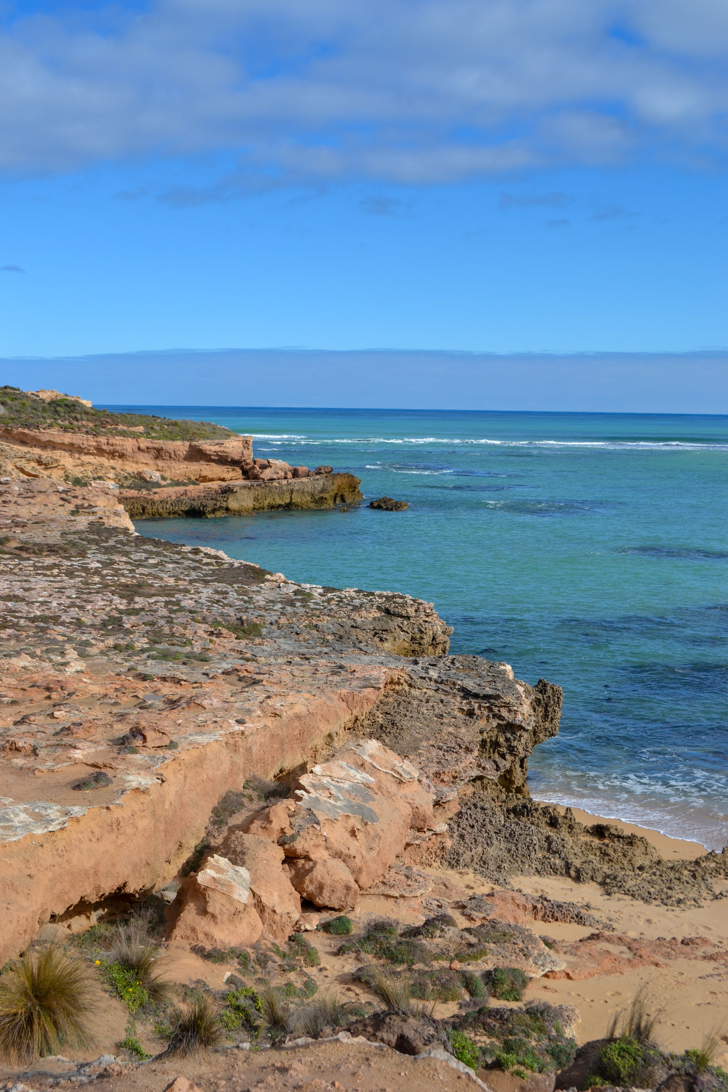DSC_0632 4.jpg