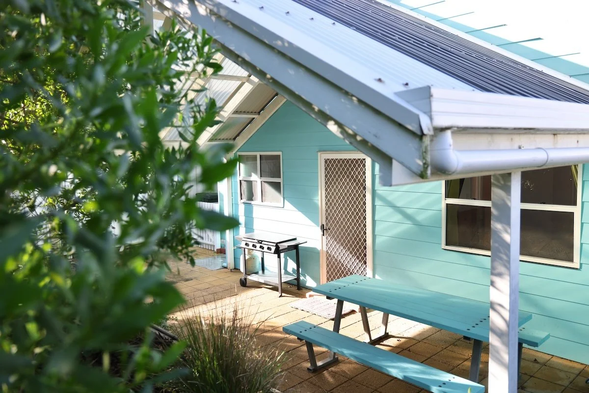 Pet-friendly yard