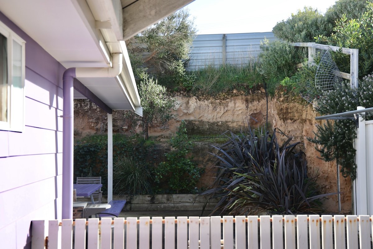 Backyard garden with plants and shrubs, a wooden fence, and a purple house wall on the left side.