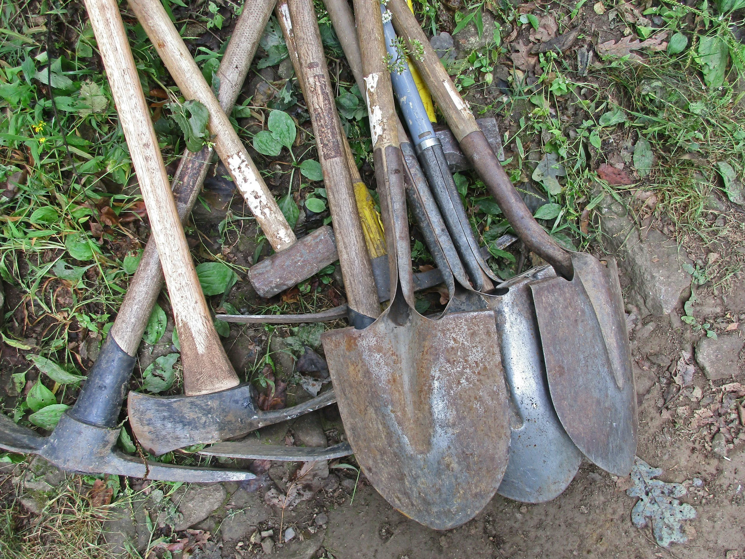 A pile of gardening tools including shovels, hoes, and hand trowels, resting on dirt and surrounded by green leaves and grass.