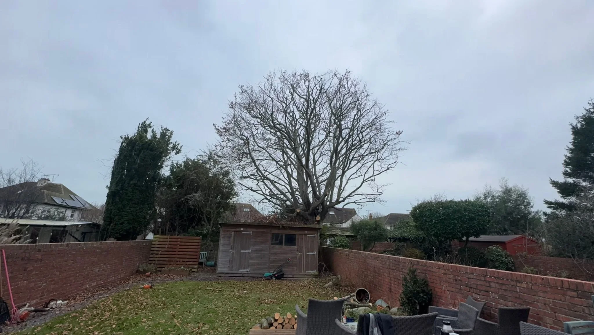 A backyard with a large, leafless tree, a wooden shed, a brick wall, and outdoor furniture on a cloudy day.