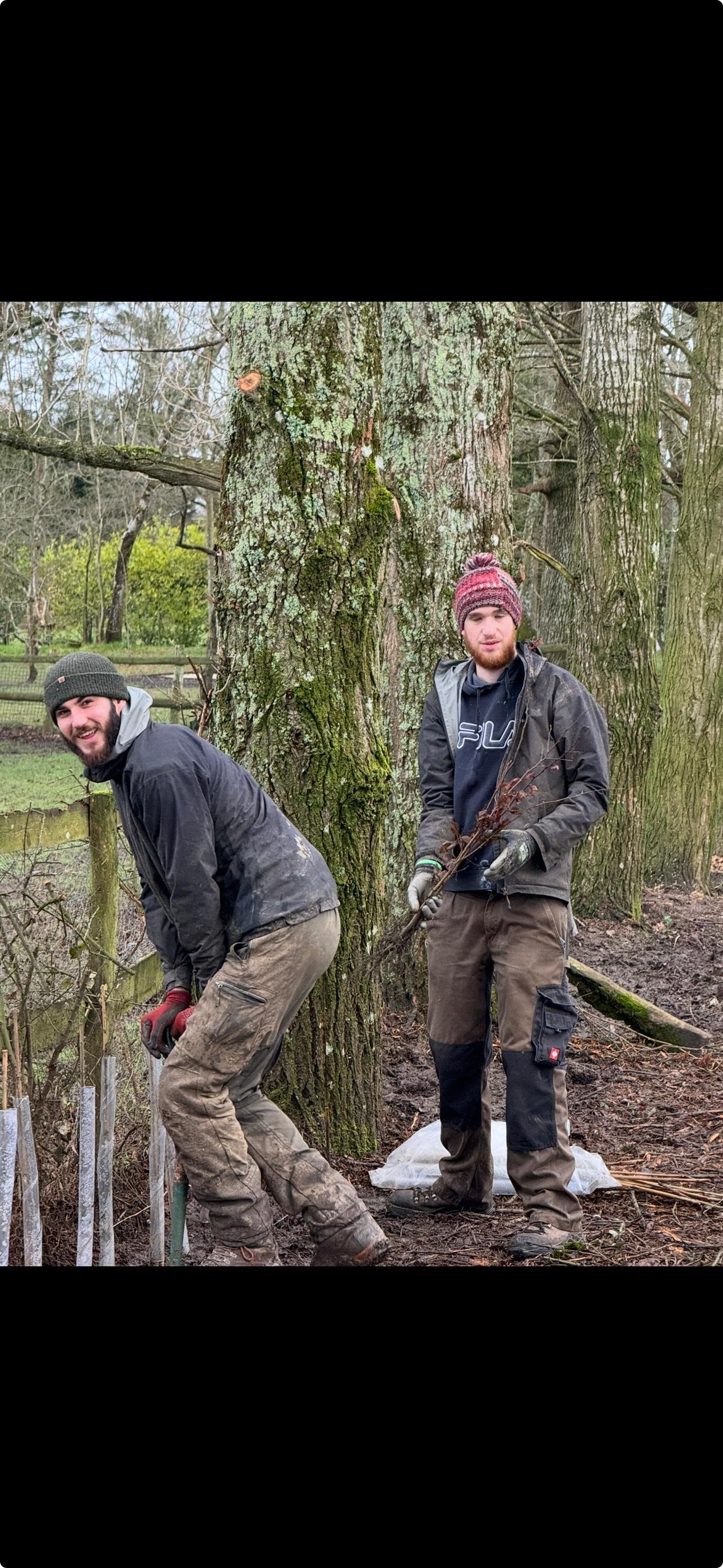 Two young men planting a tree outdoors in a wooded area. One is smiling and bending down, wearing a grey beanie and black jacket. The other is standing, holding a small branch, wearing a red beanie and black jacket. They are working together to plant the tree.