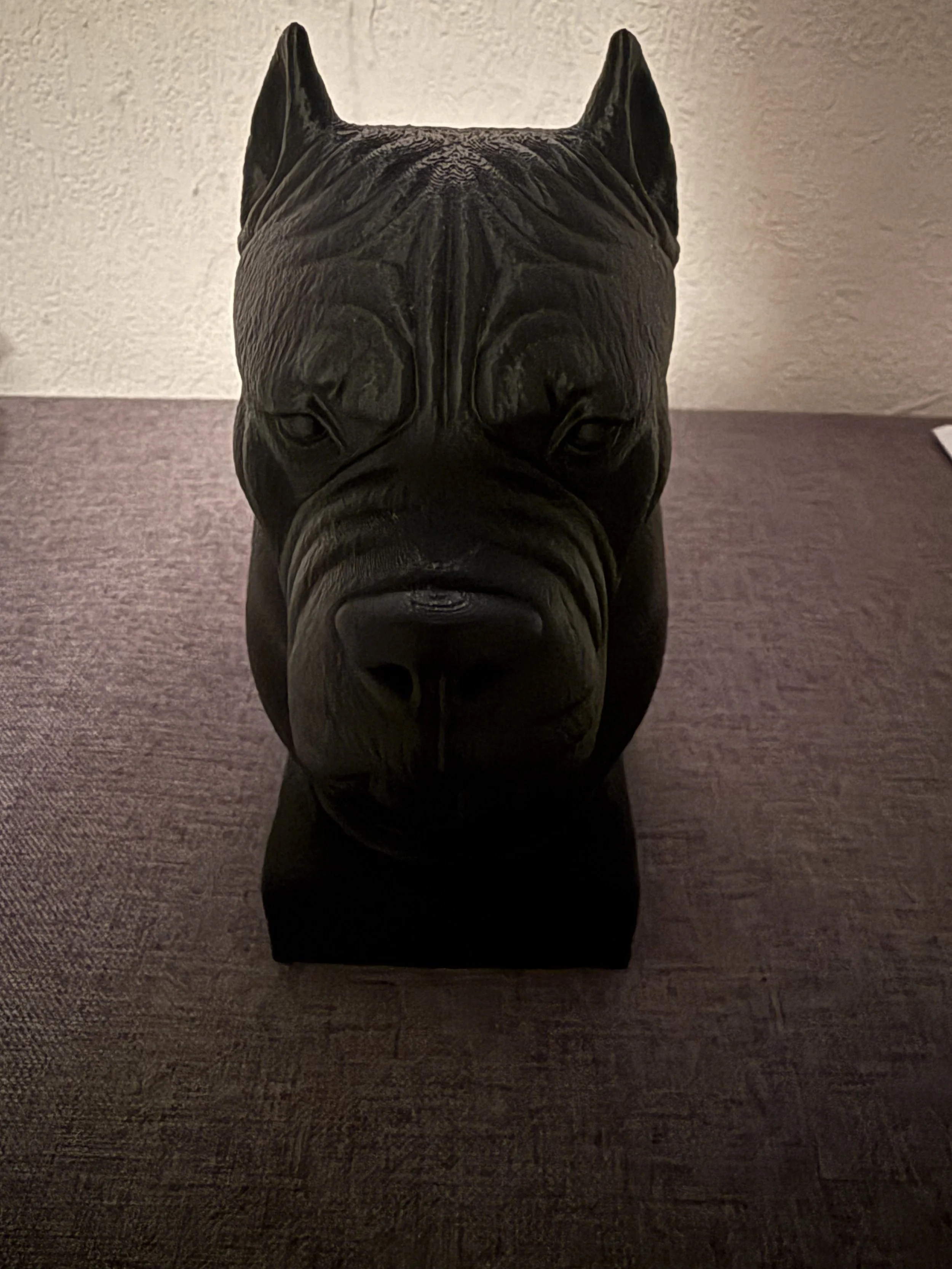 cane corso 3.jpeg