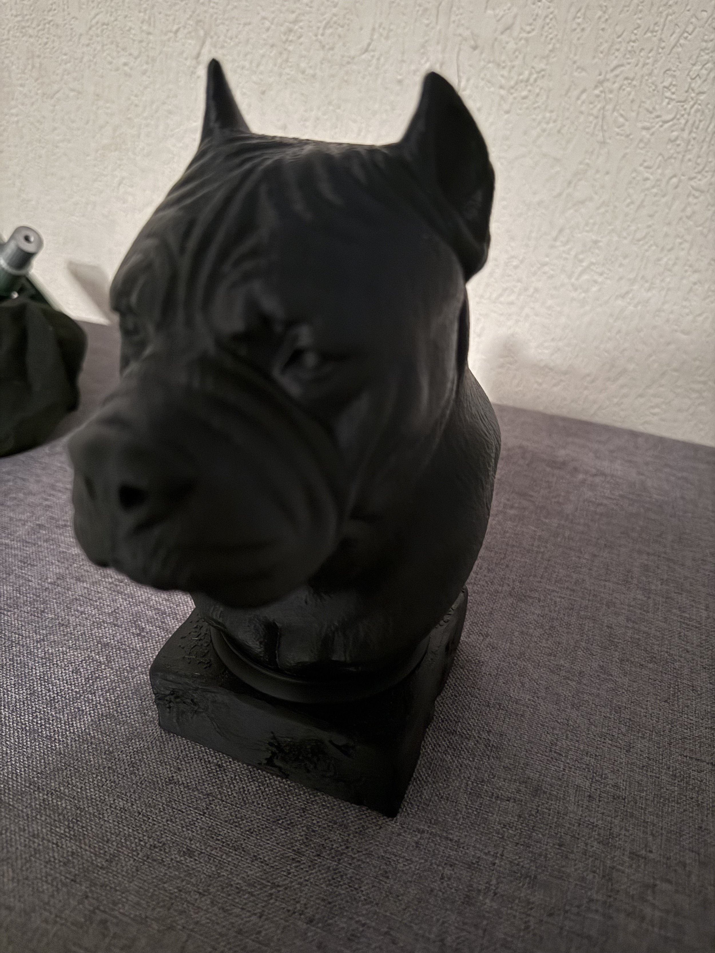 cane corso 1.jpeg
