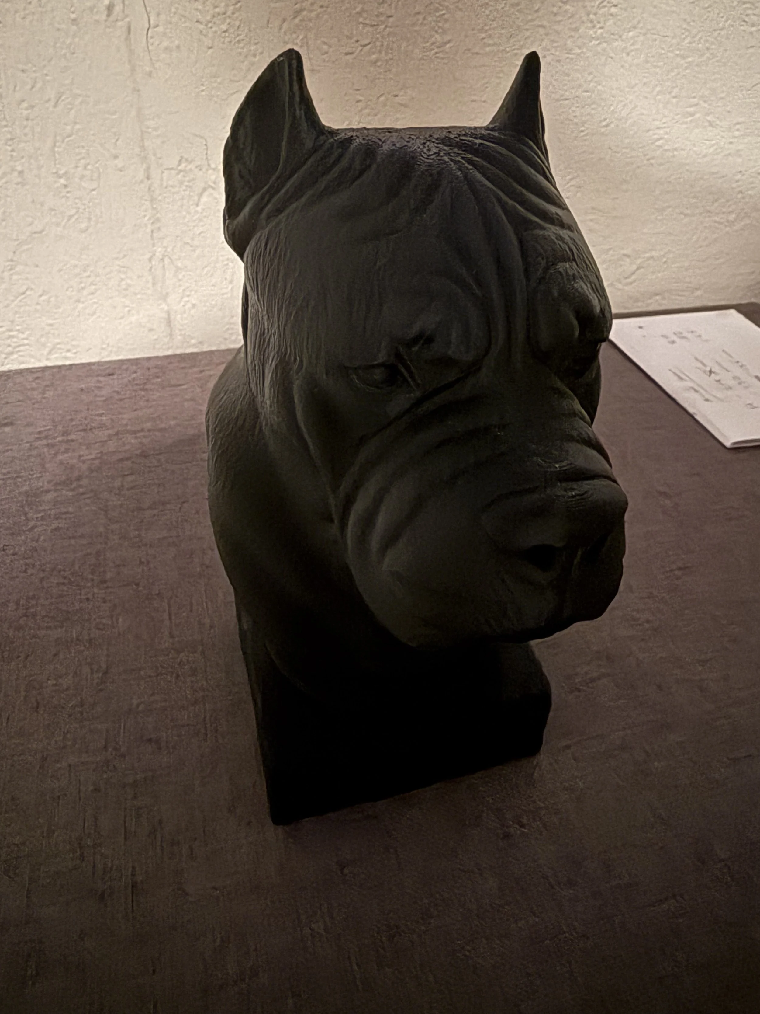 cane corso 2.jpeg