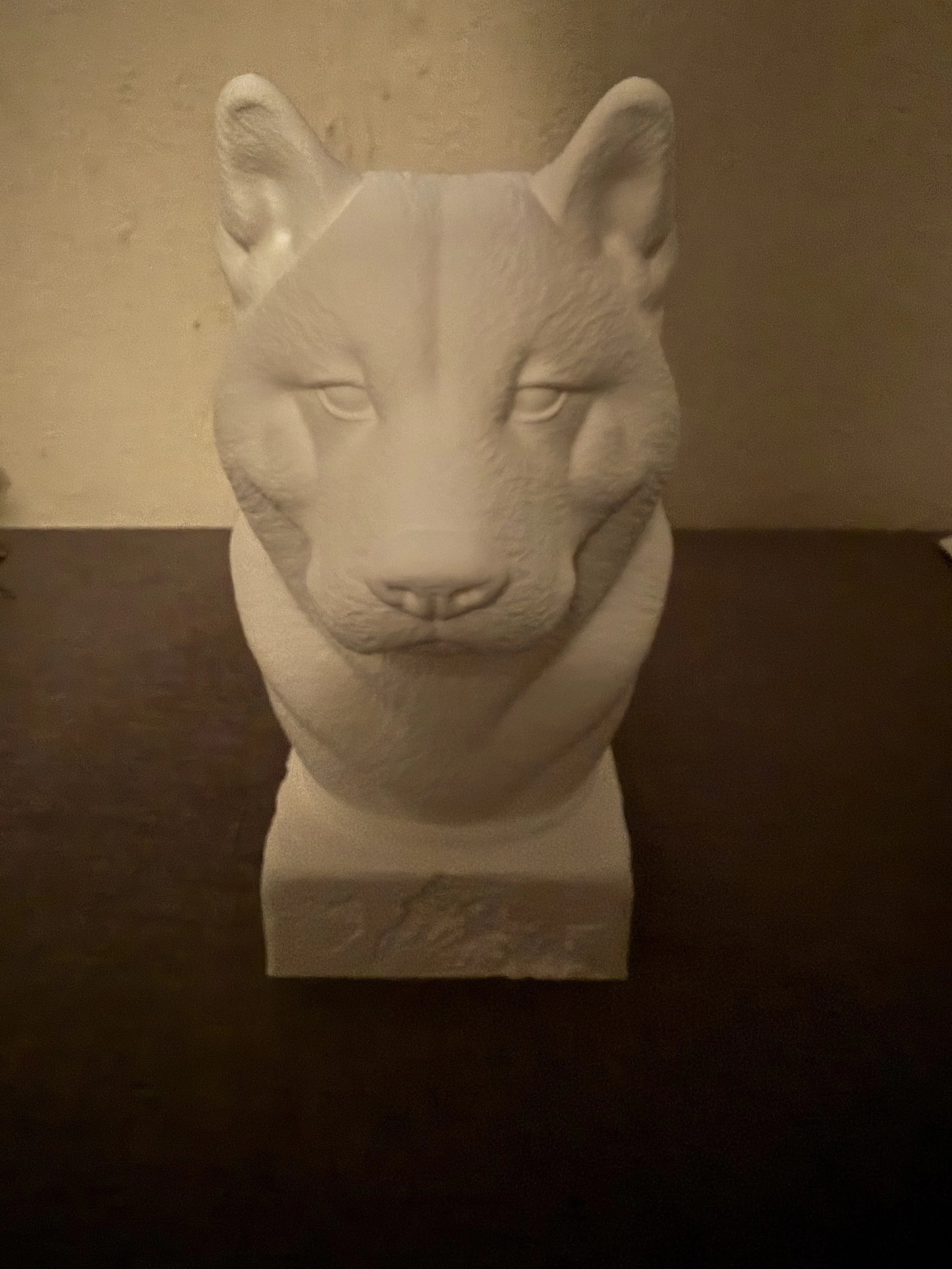 american akita 1.jpeg