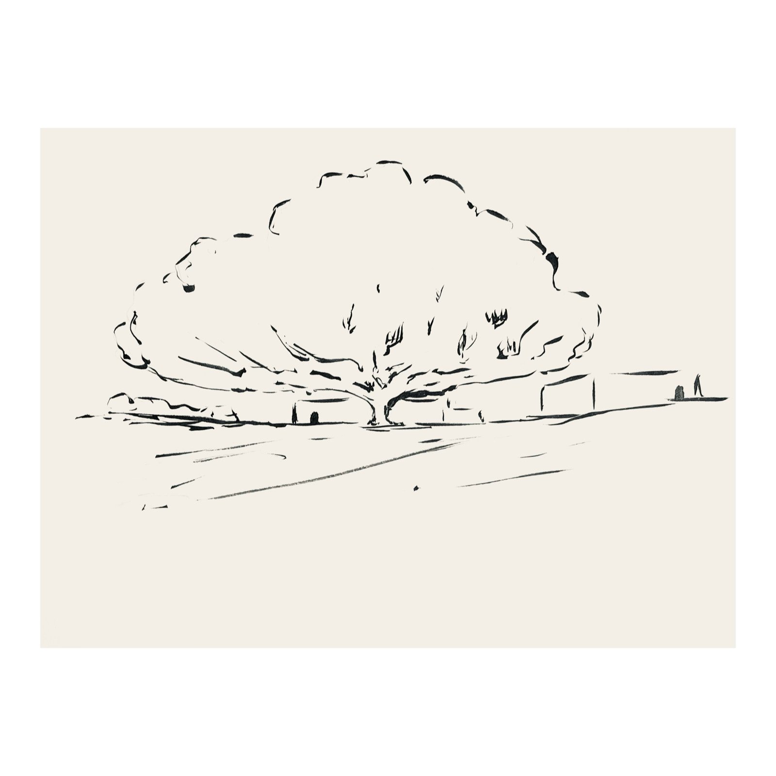 illustrateur toulouse3.JPG