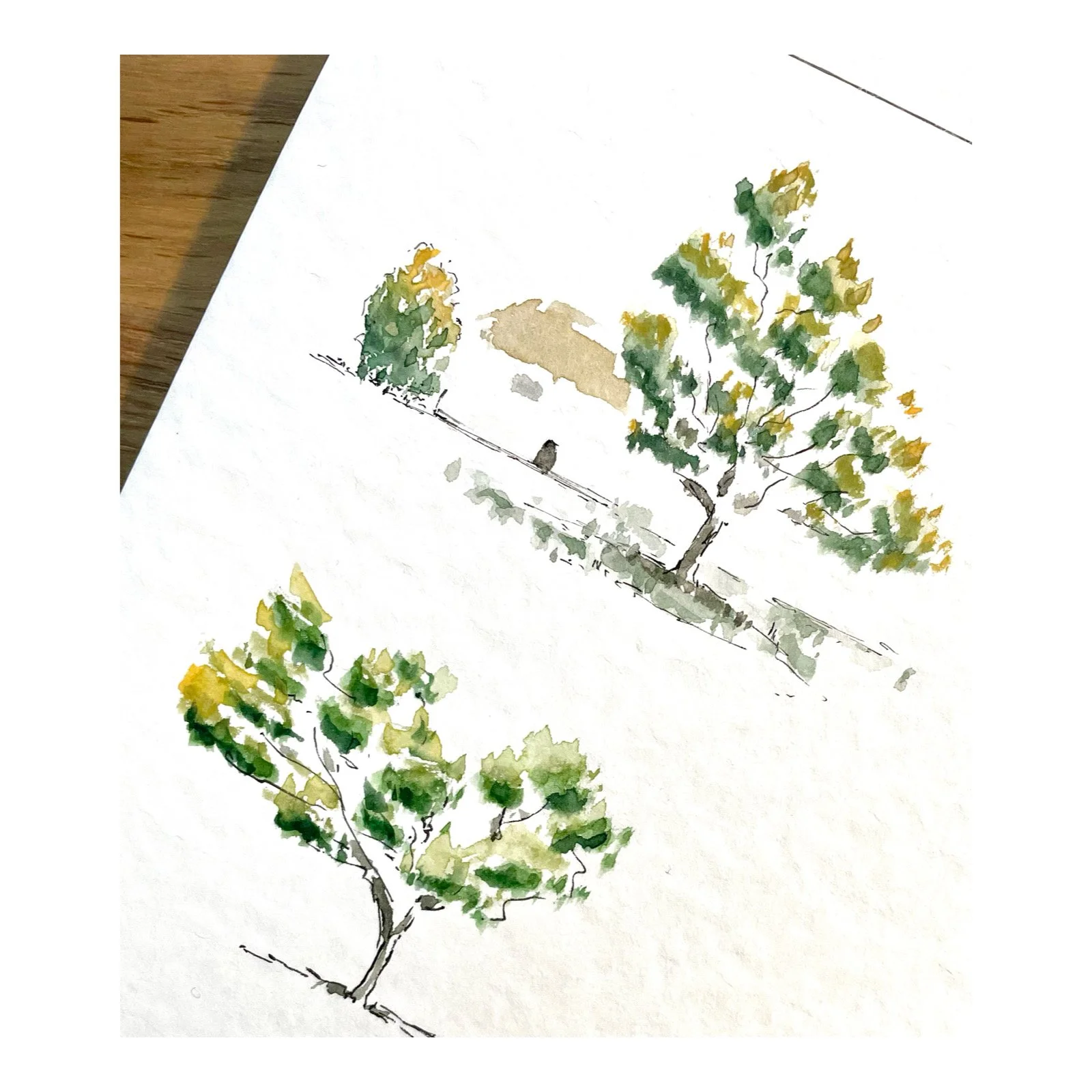 illustrateur toulouse14.JPG