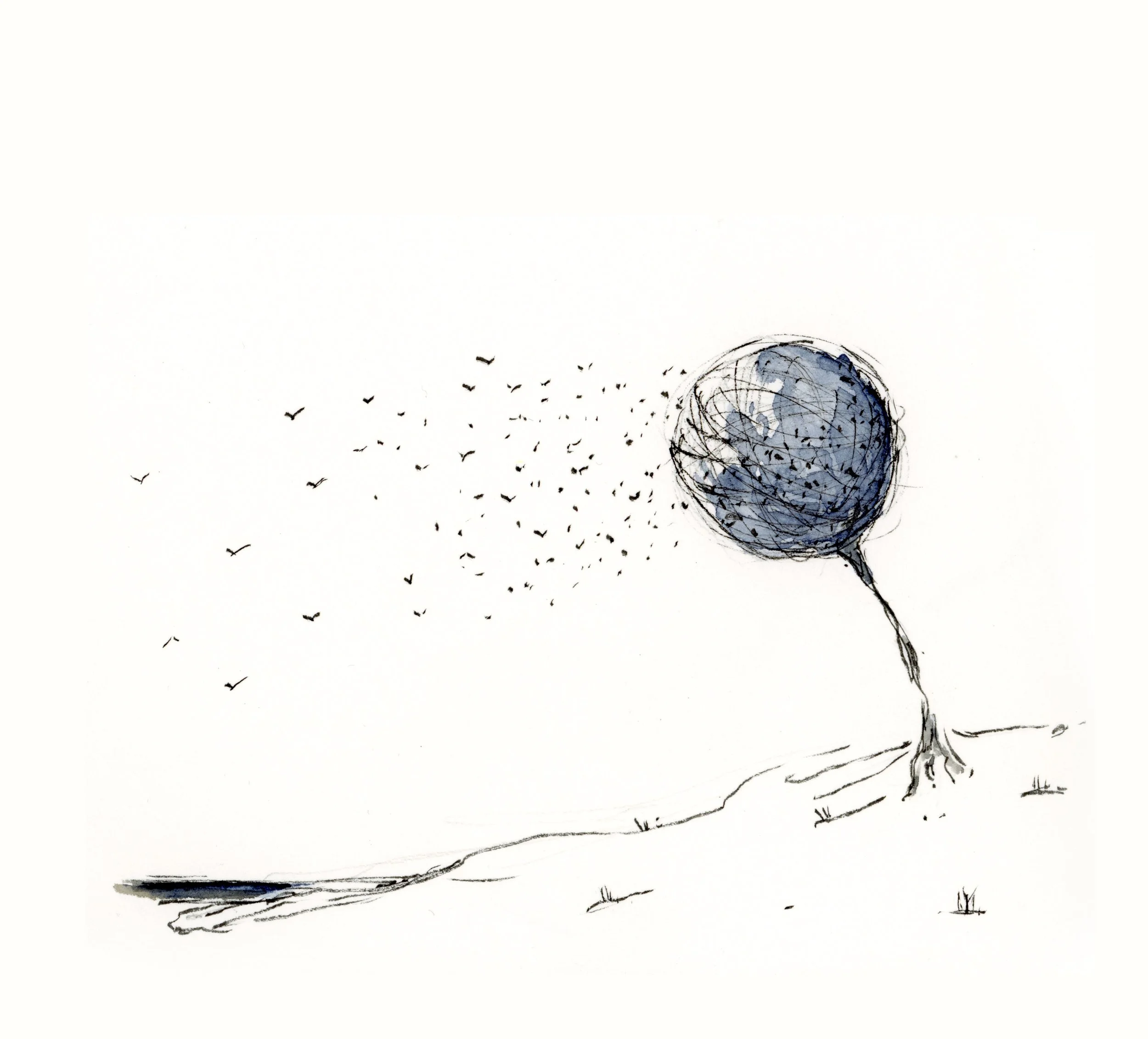 Dessins au crayon représentant une terre en forme de bulle avec des oiseaux volant autour, posé sur une surface plane.