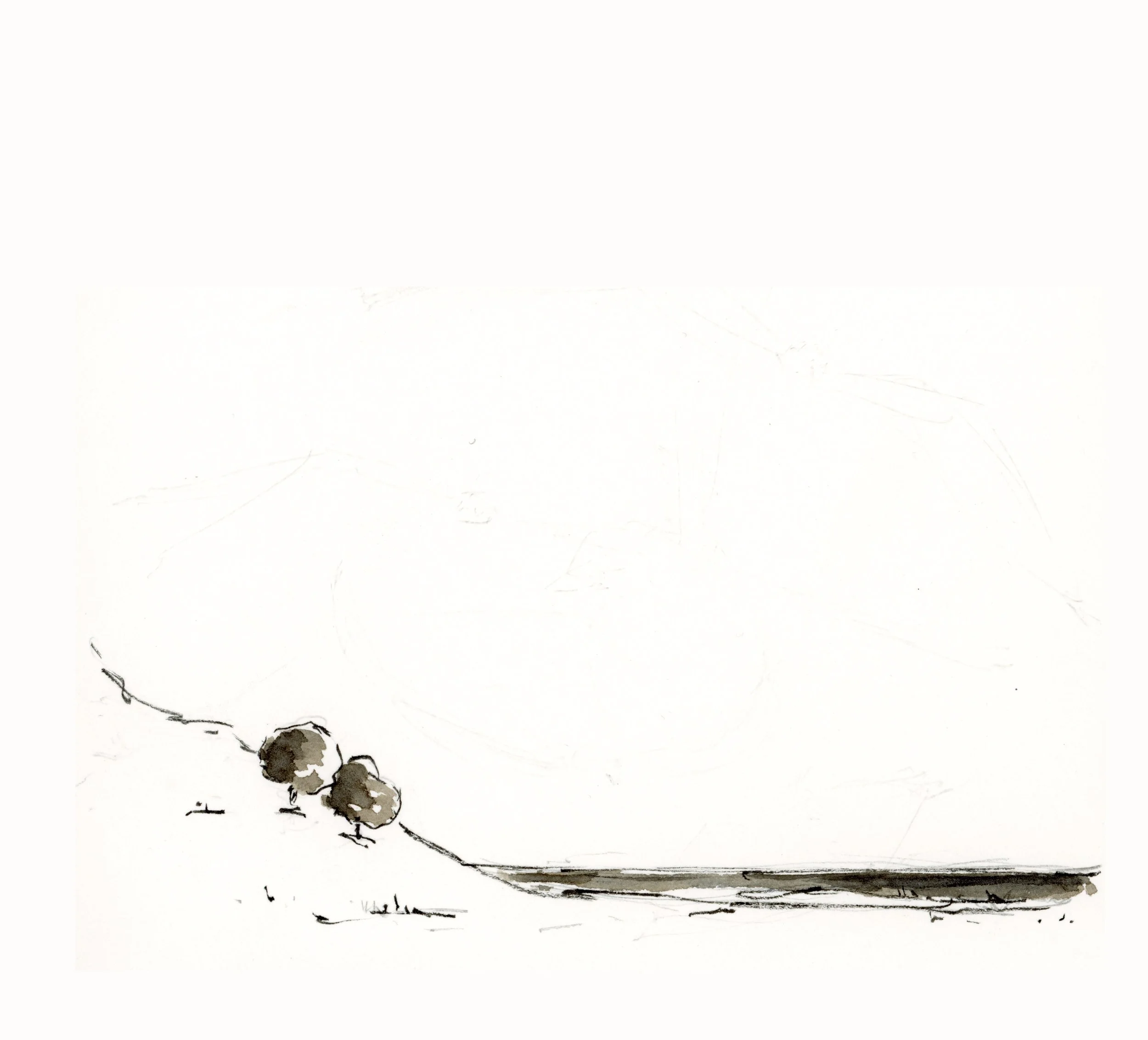 Dessin à l'encre d'un petit arbre avec des feuilles arrondies et quelques formes abstraites au sol, sur fond blanc.
