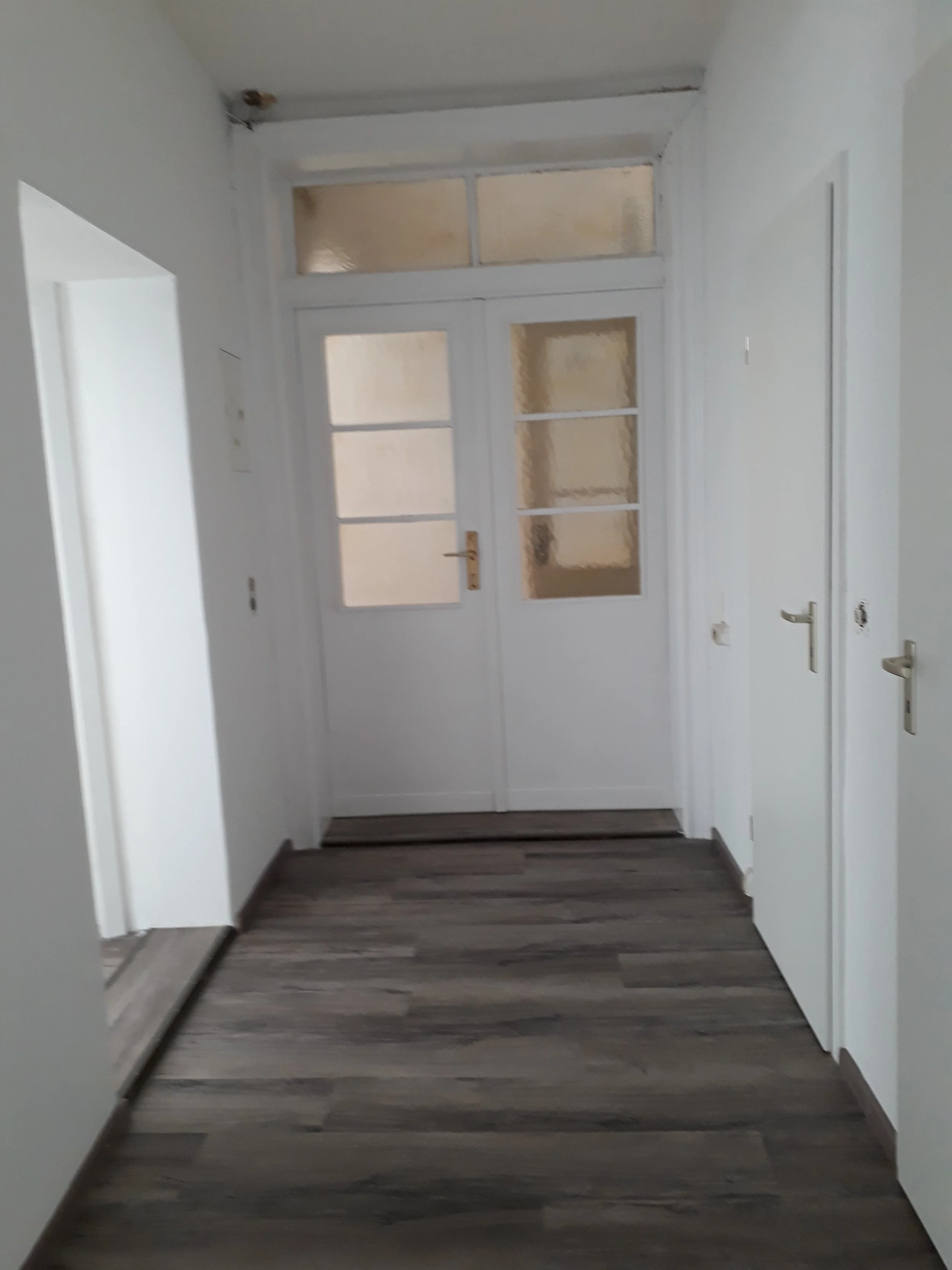 Empty hallway with gray and white walls, a door with frosted glass panels, and dark wood flooring.