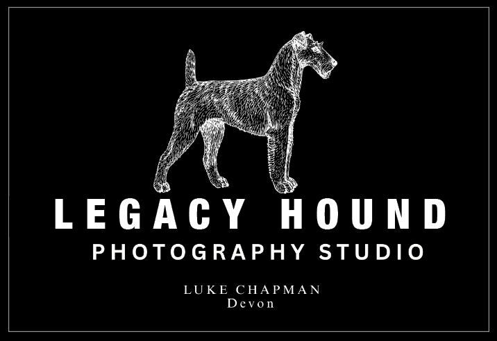 Dog Photography